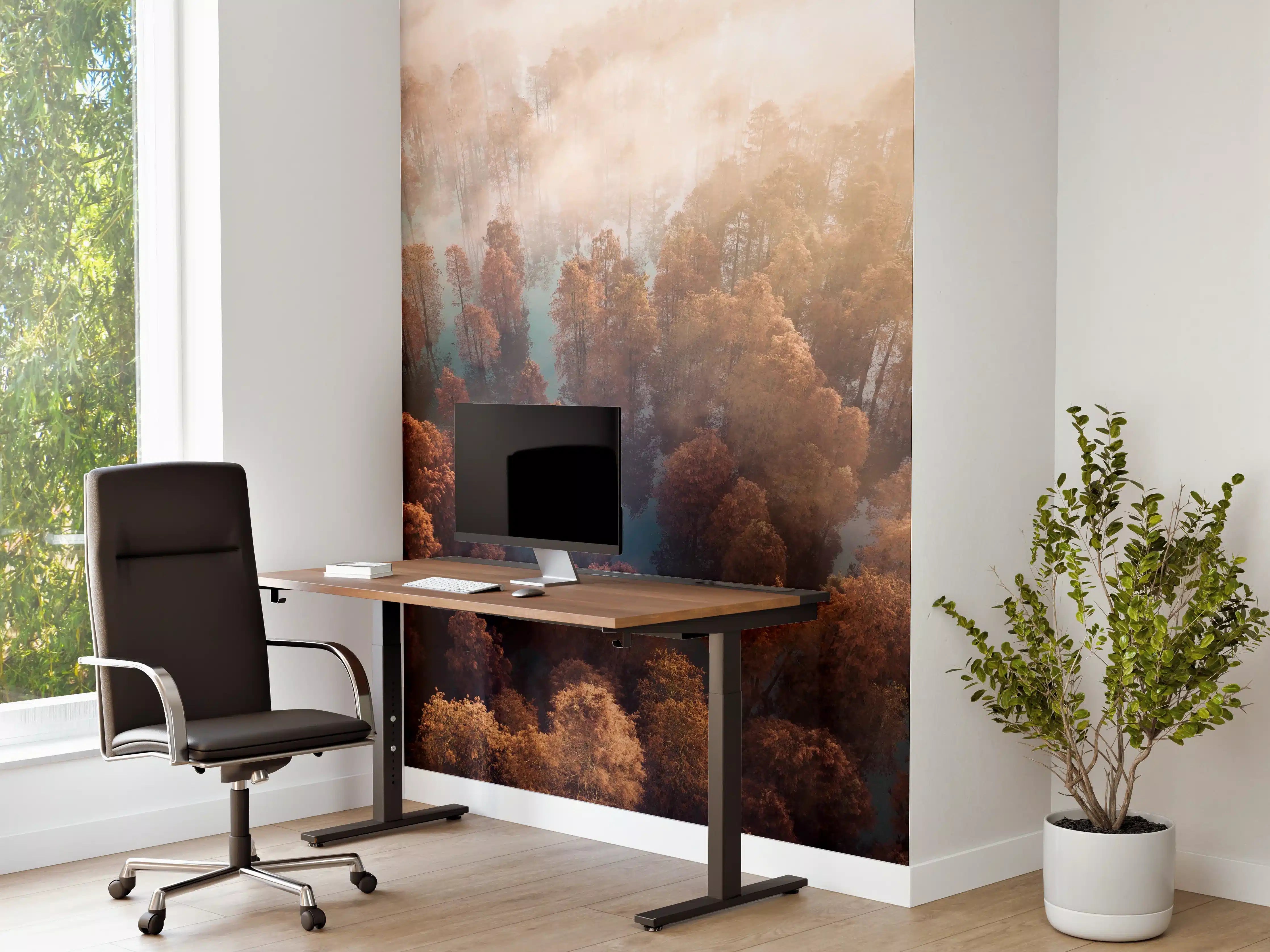 Büro Wandgestaltung - Vogelperspektive - Wald im Herbst