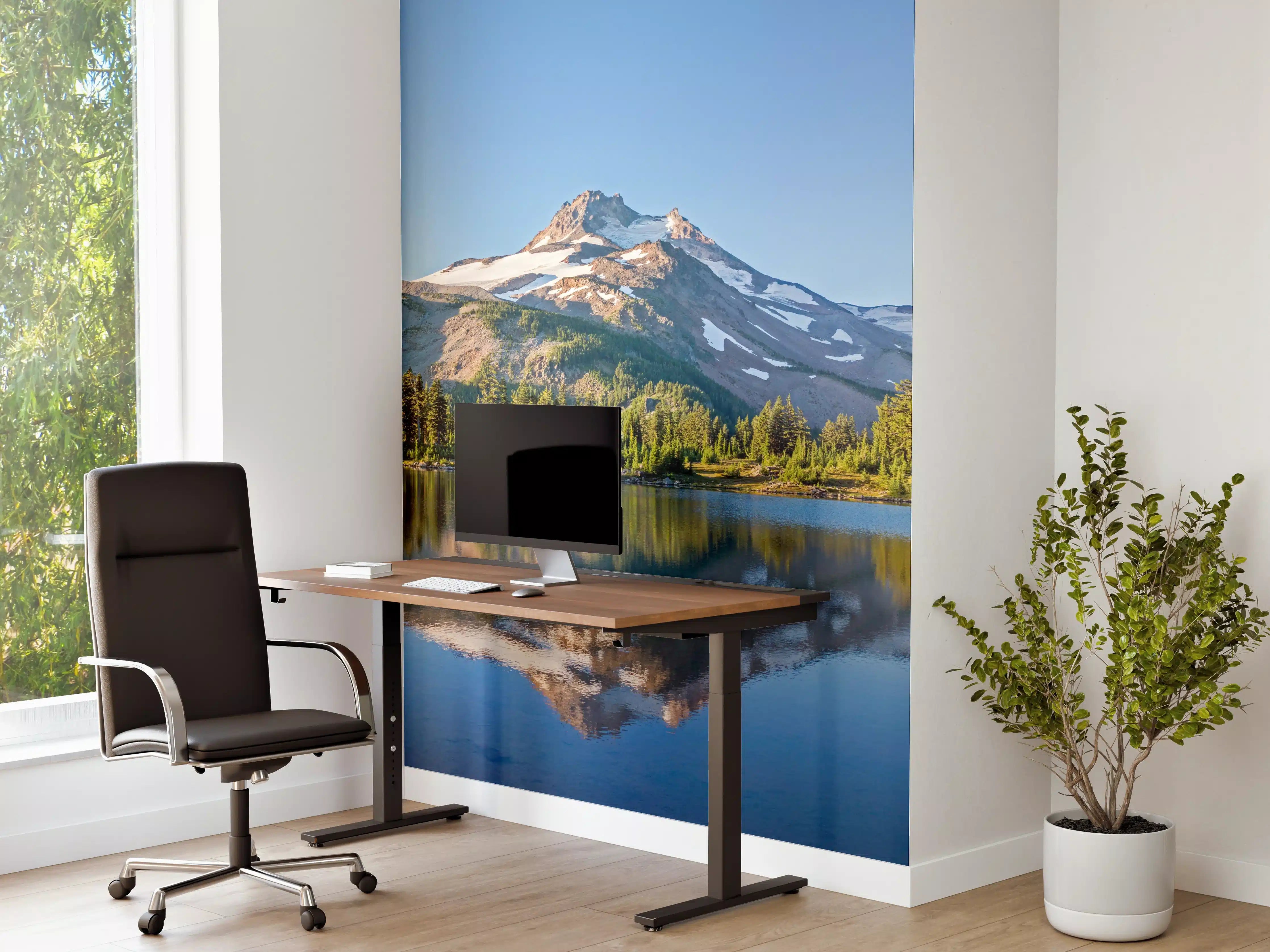 Büro Wandgestaltung - Vulkanischer Berg Jefferson Park USA
