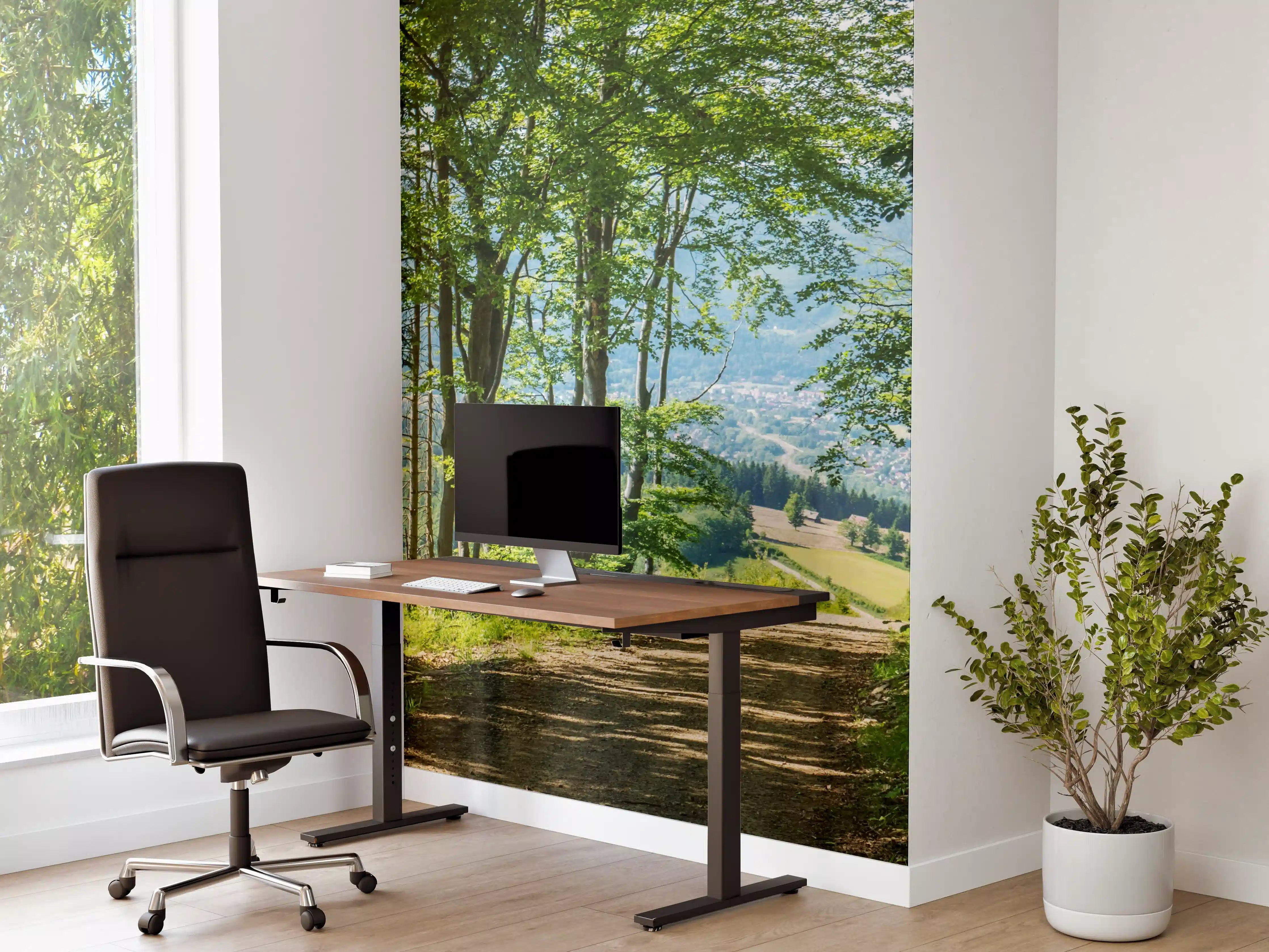 Büro Wandgestaltung - Waldweg Beskiden Polen