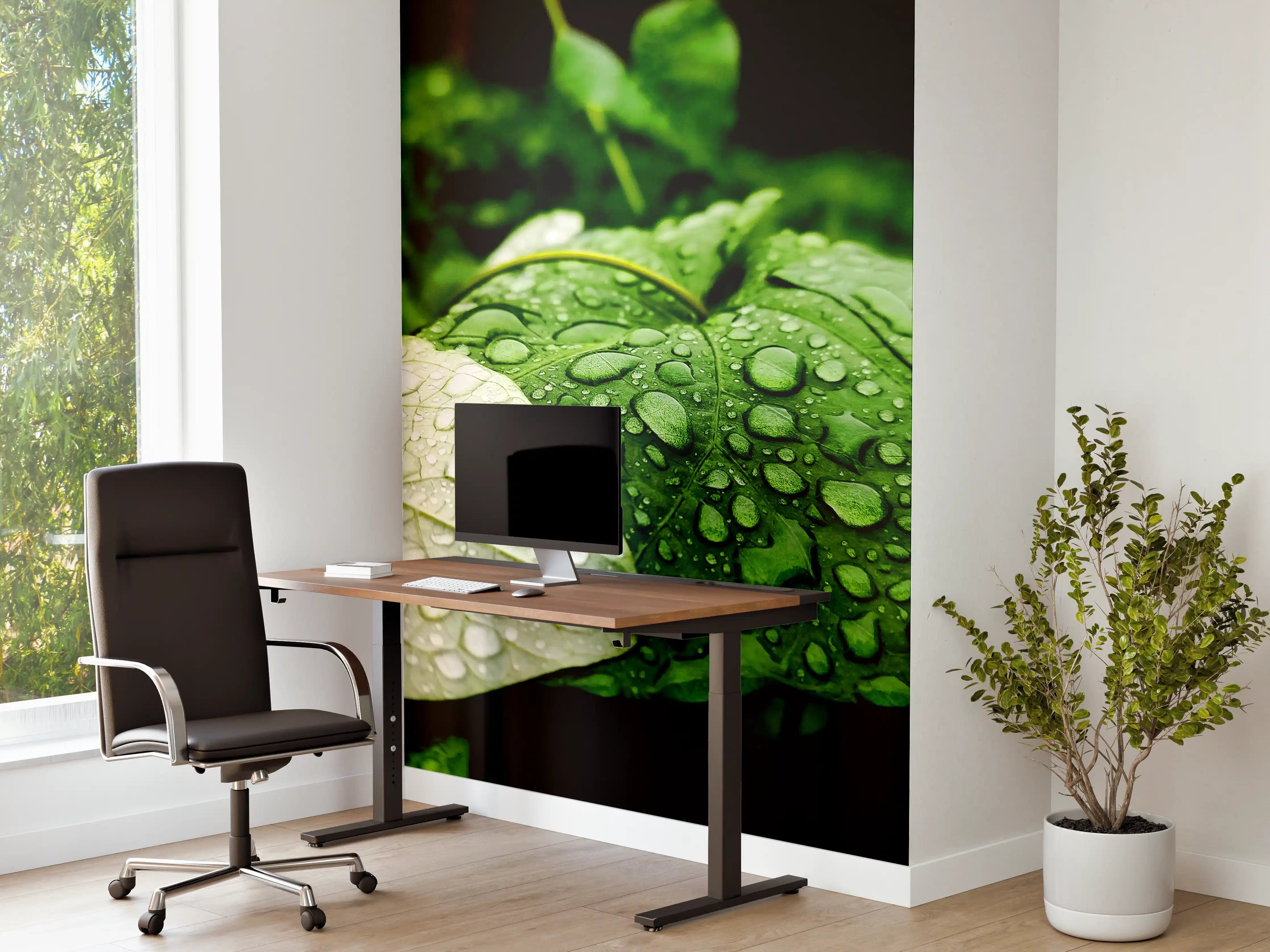 Büro Wandgestaltung - Wassertropfen auf einem Blatt