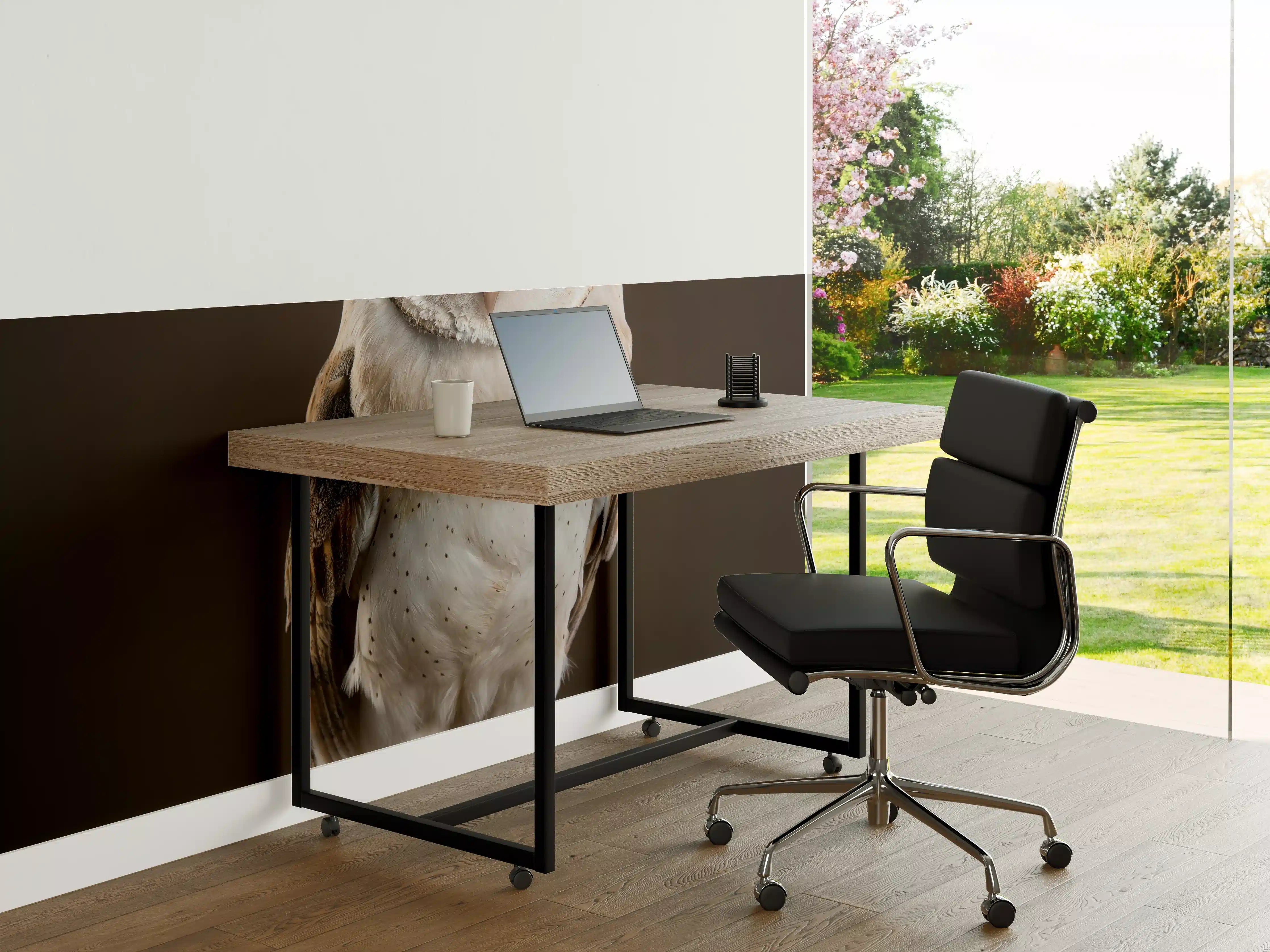 Büro Wandgestaltung - Weiß-Brauner Waldkauz auf Ast