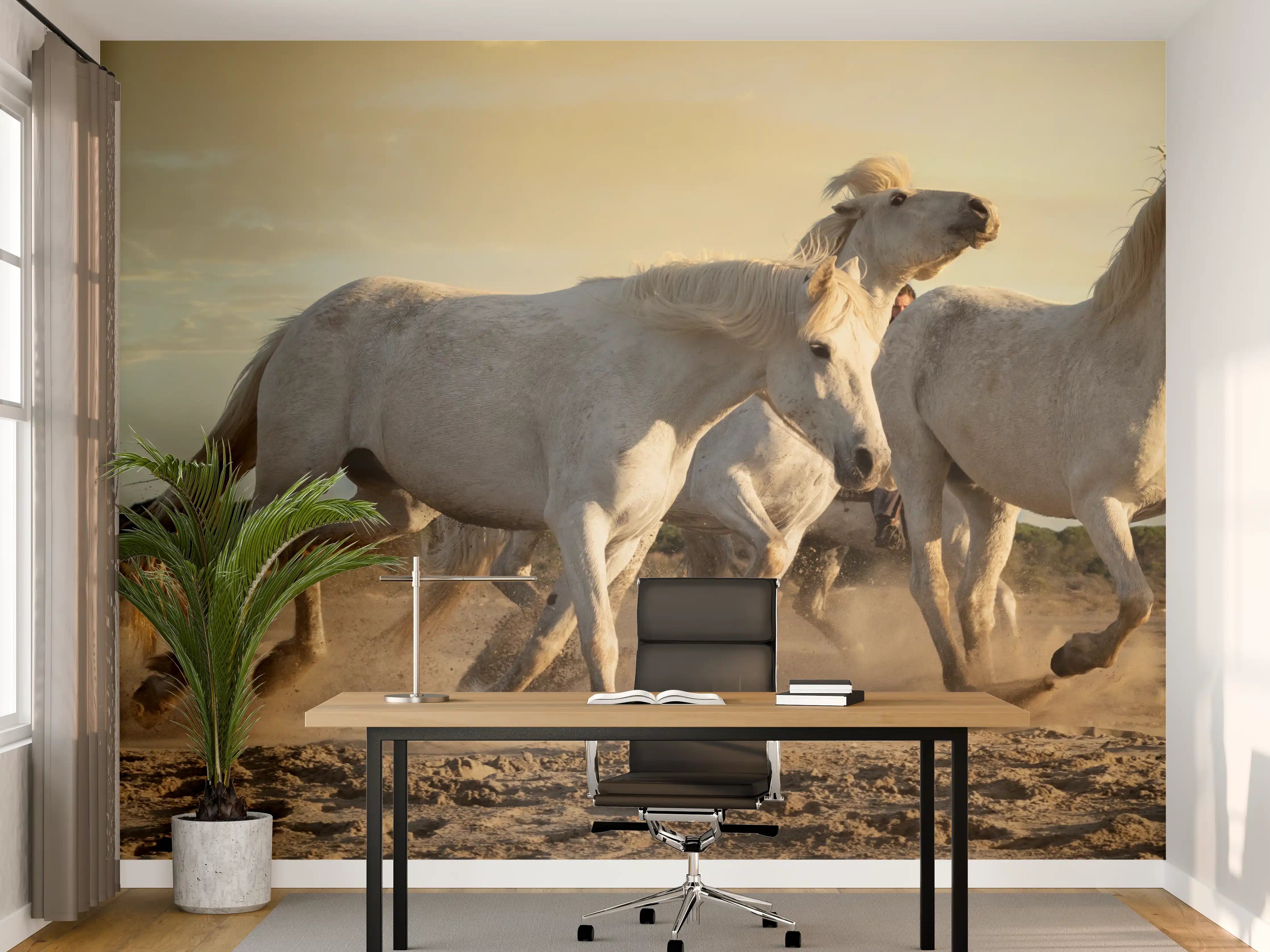 Büro Wandgestaltung - Weiße Galopper bei Sonnenuntergang