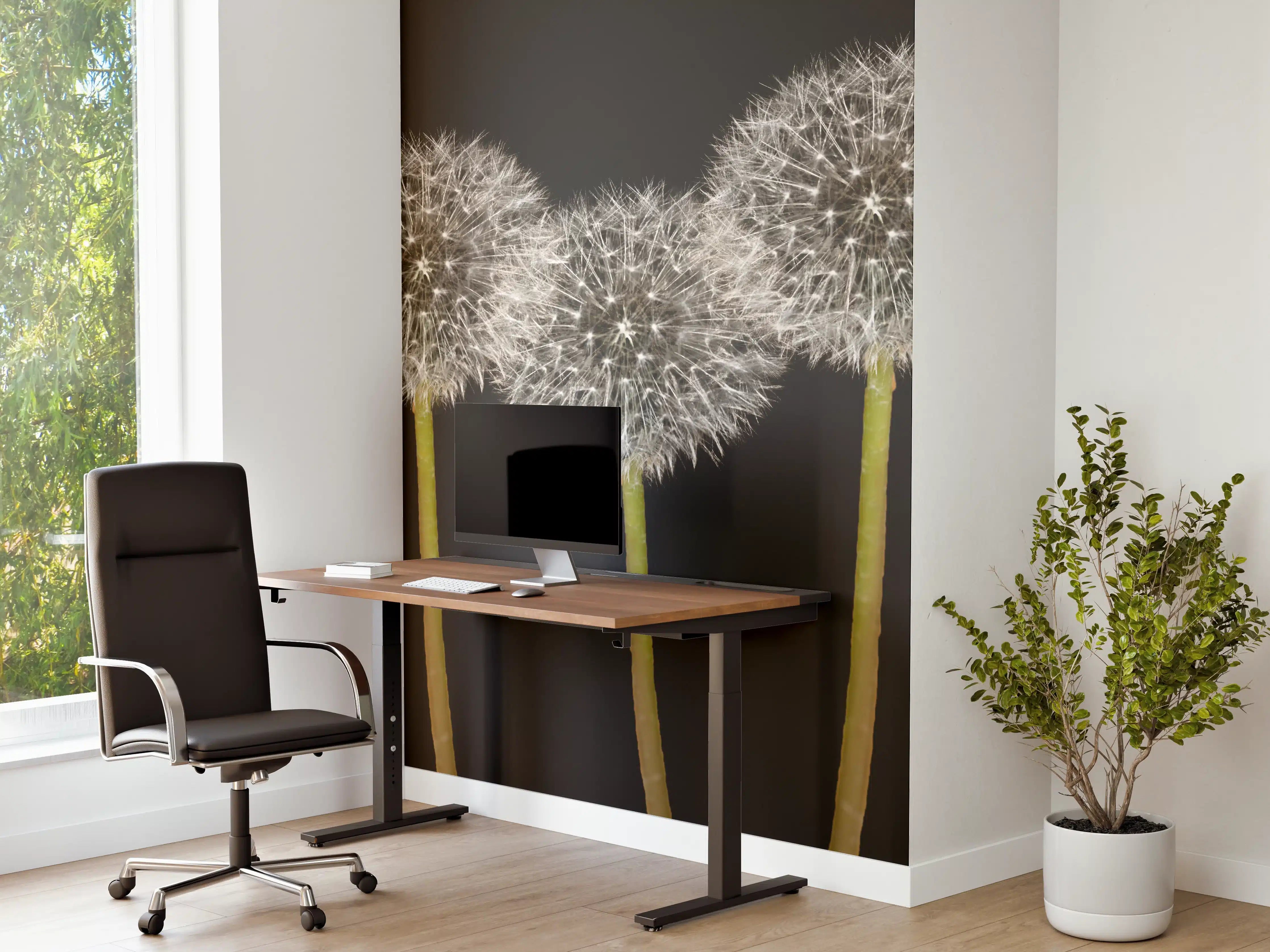 Büro Wandgestaltung - Weiße Pusteblumen auf Schwarz