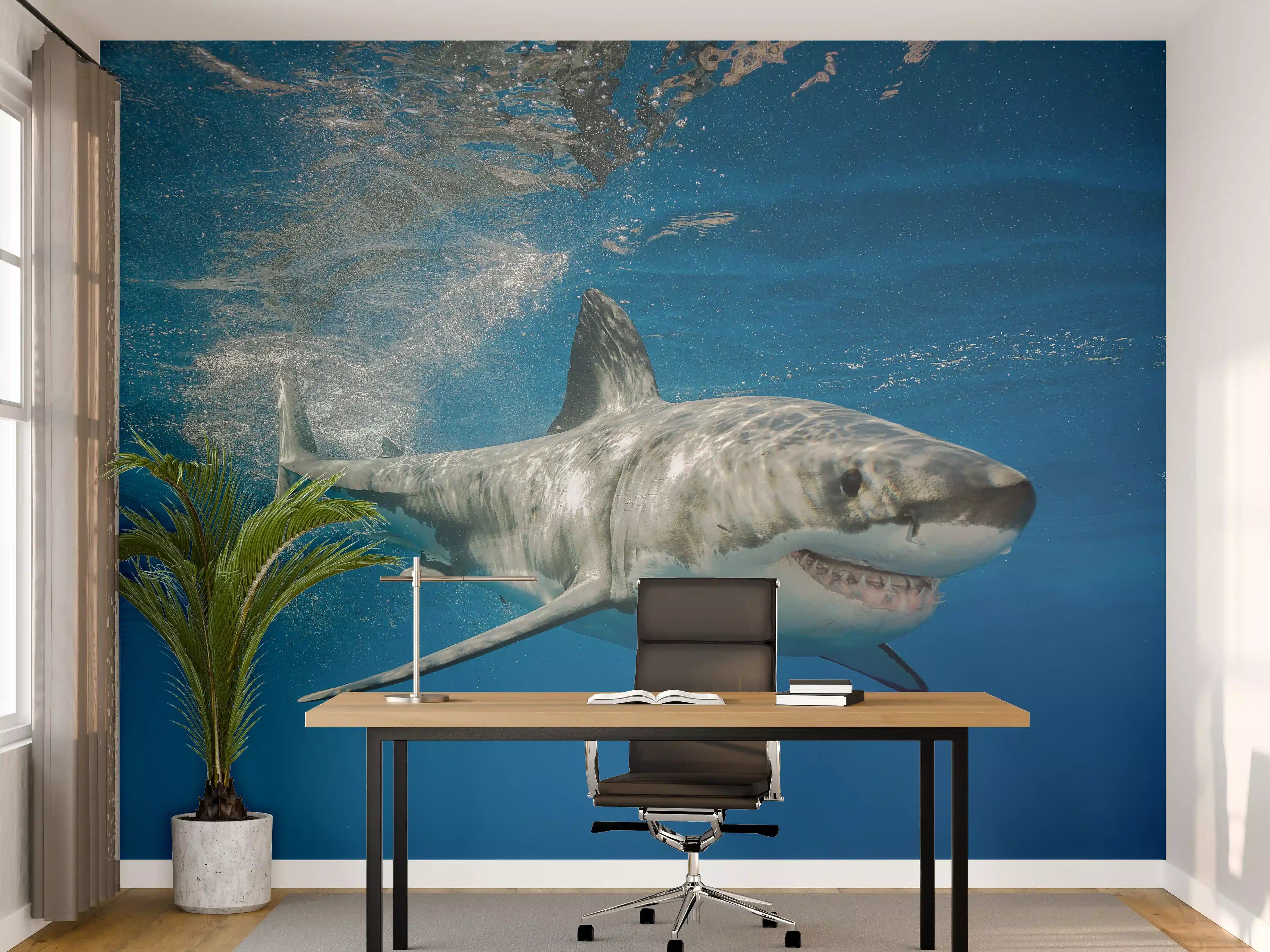 Büro Wandgestaltung - Weißer Hai in Unterwasseransicht