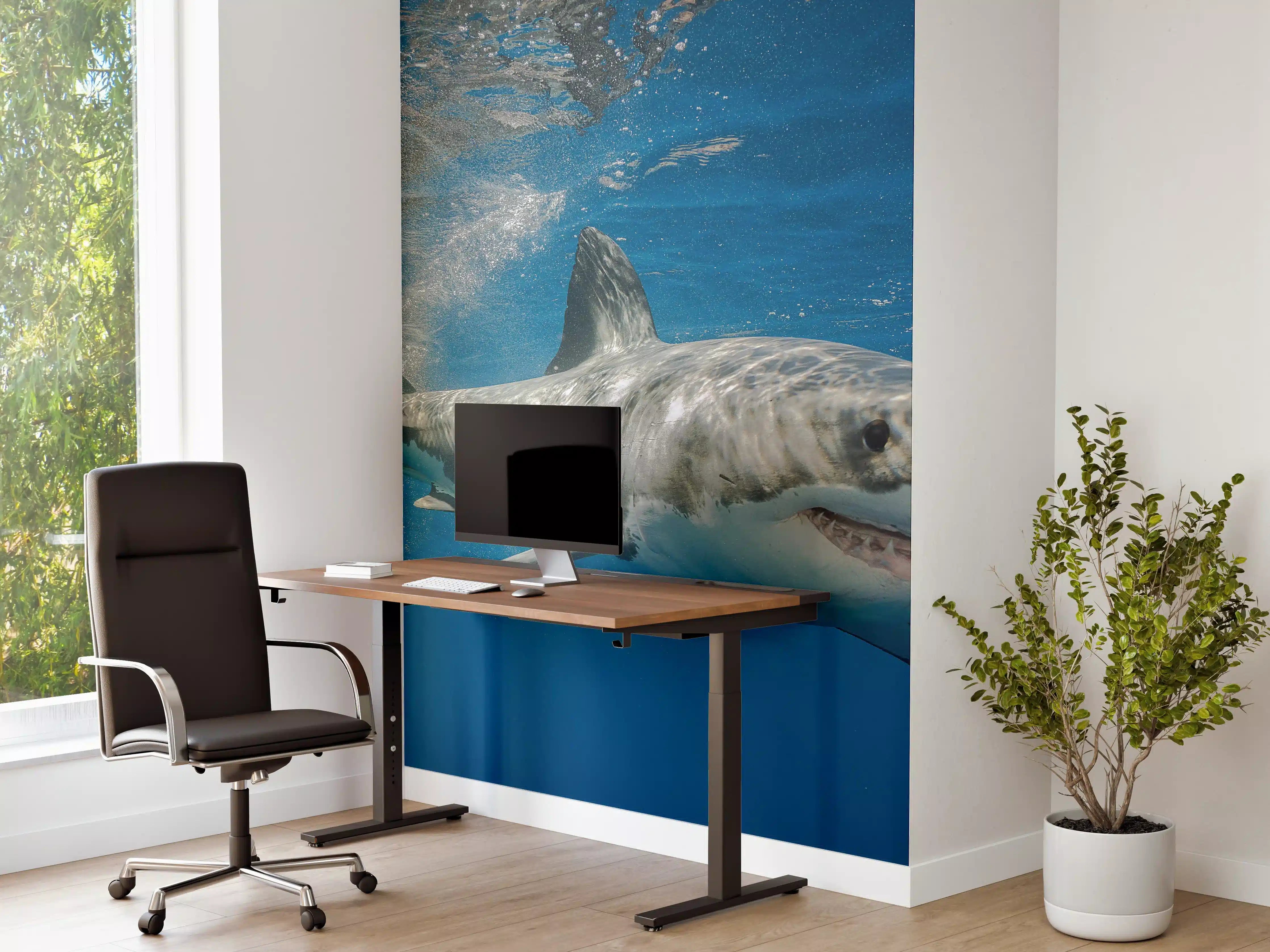 Büro Wandgestaltung - Weißer Hai in Unterwasseransicht