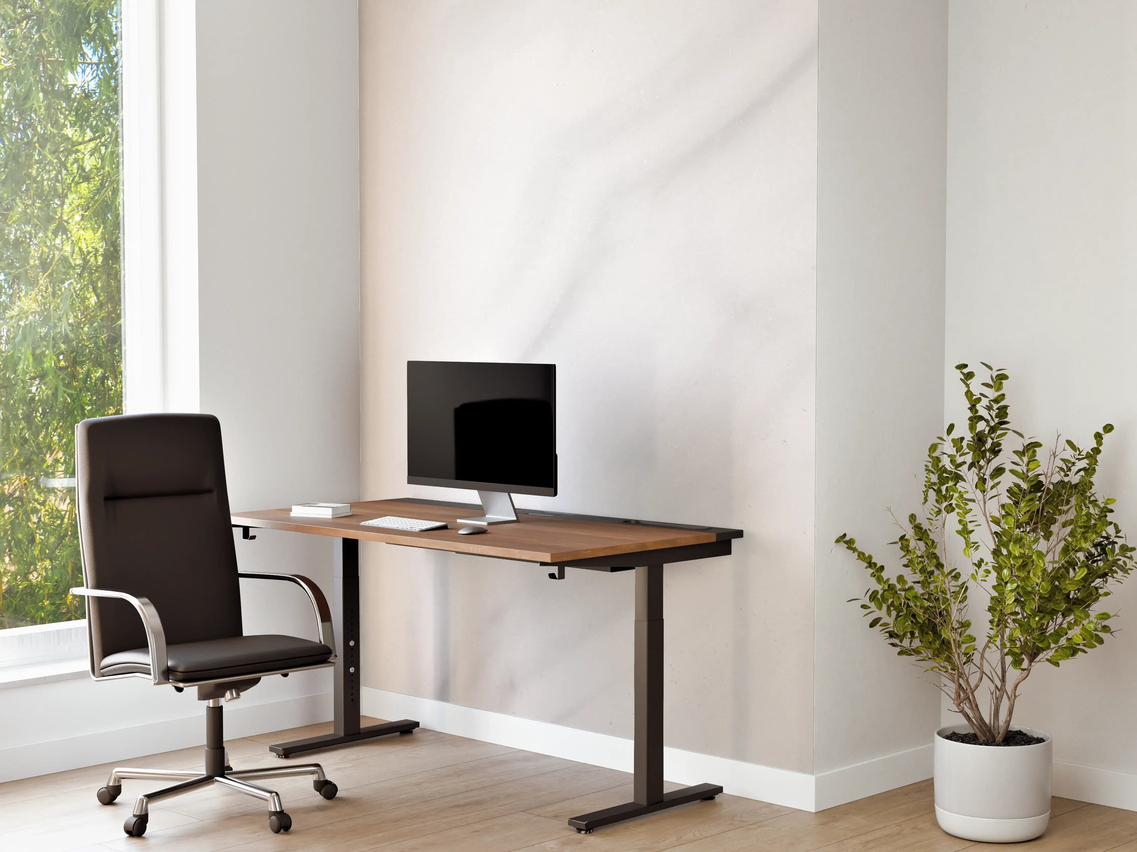 Büro Wandgestaltung - Weißer polierter Marmor