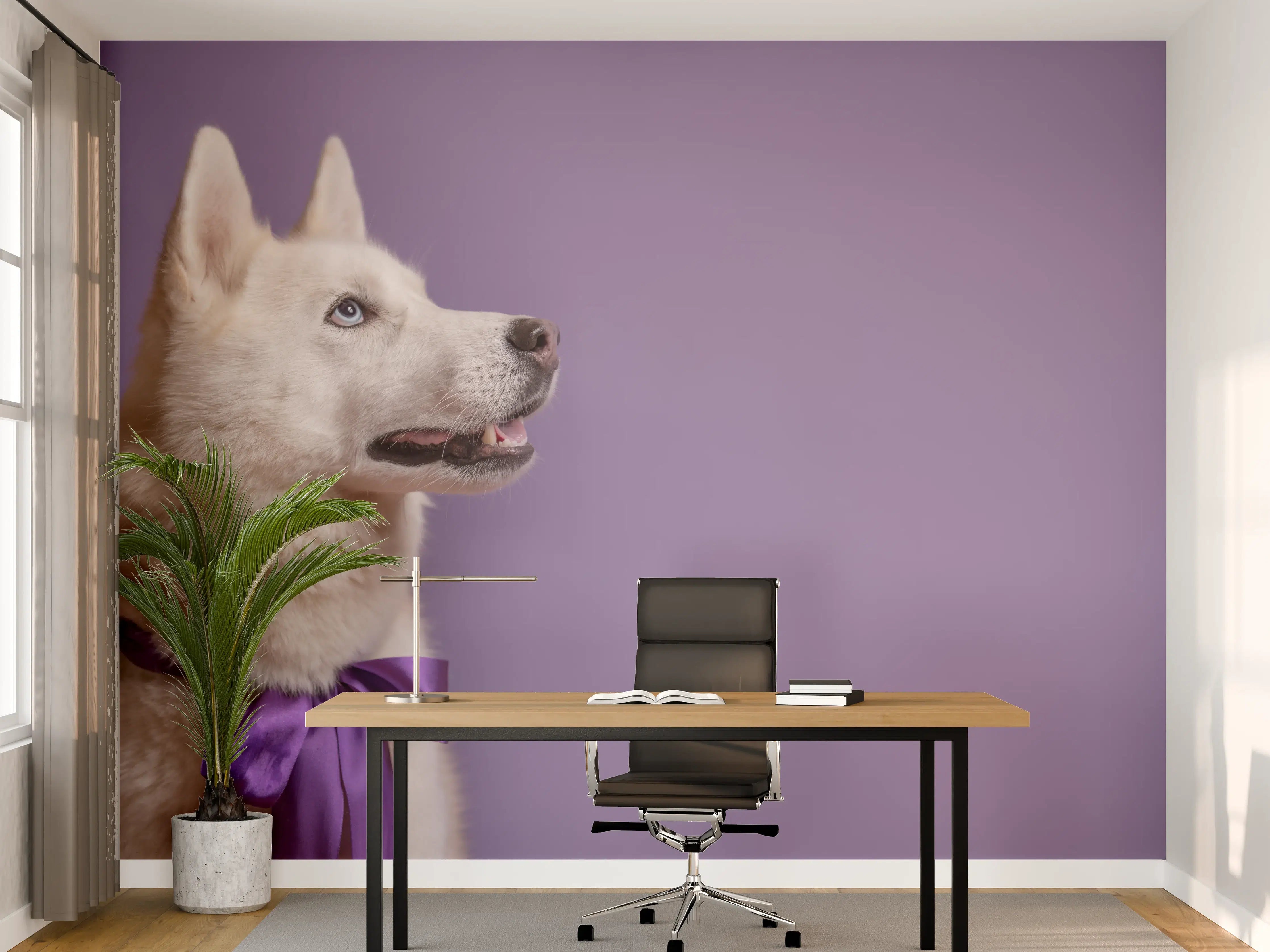Büro Wandgestaltung - Weißer sibirischer Husky Hund mit violetter Fliege