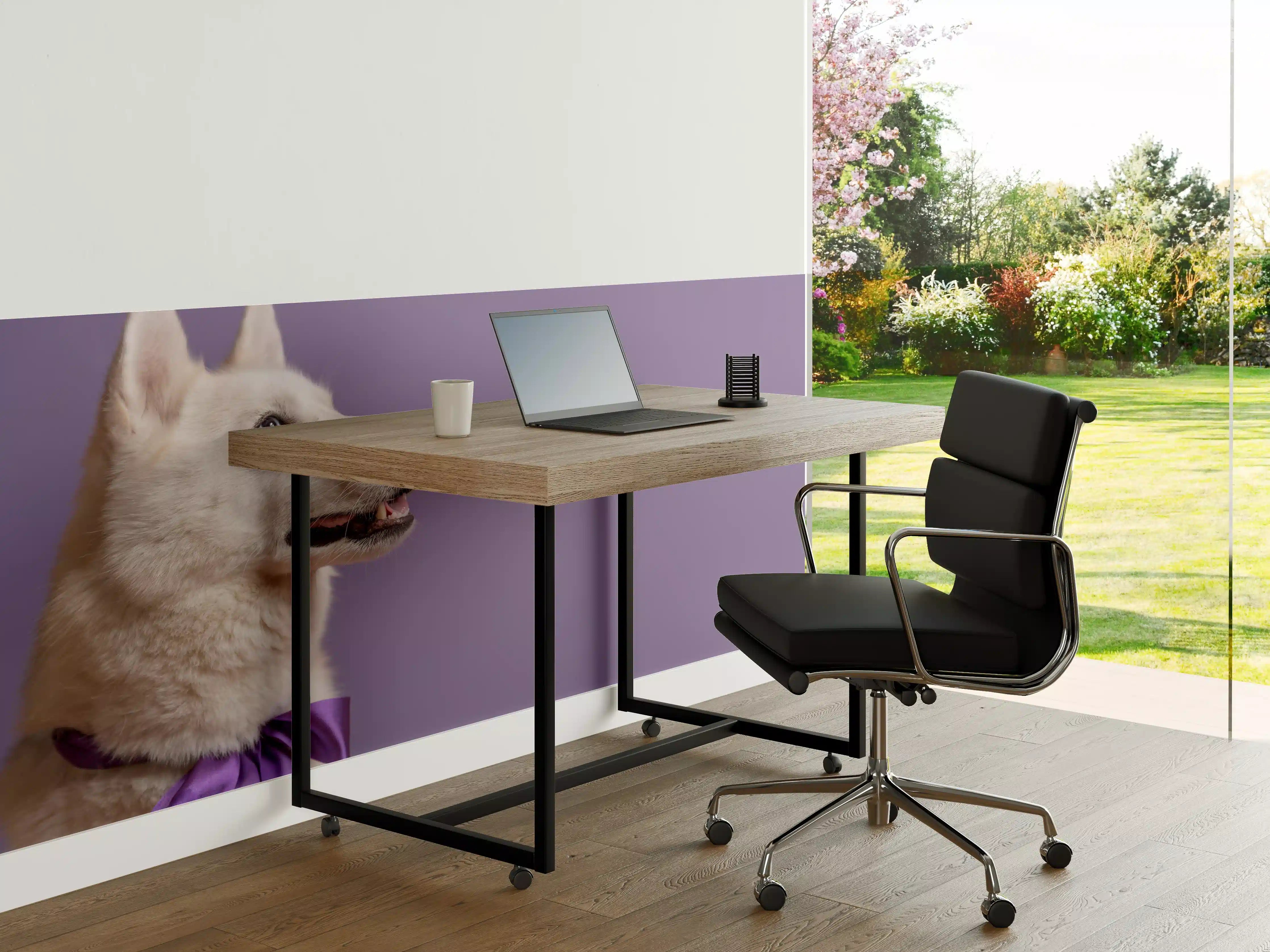 Büro Wandgestaltung - Weißer sibirischer Husky Hund mit violetter Fliege