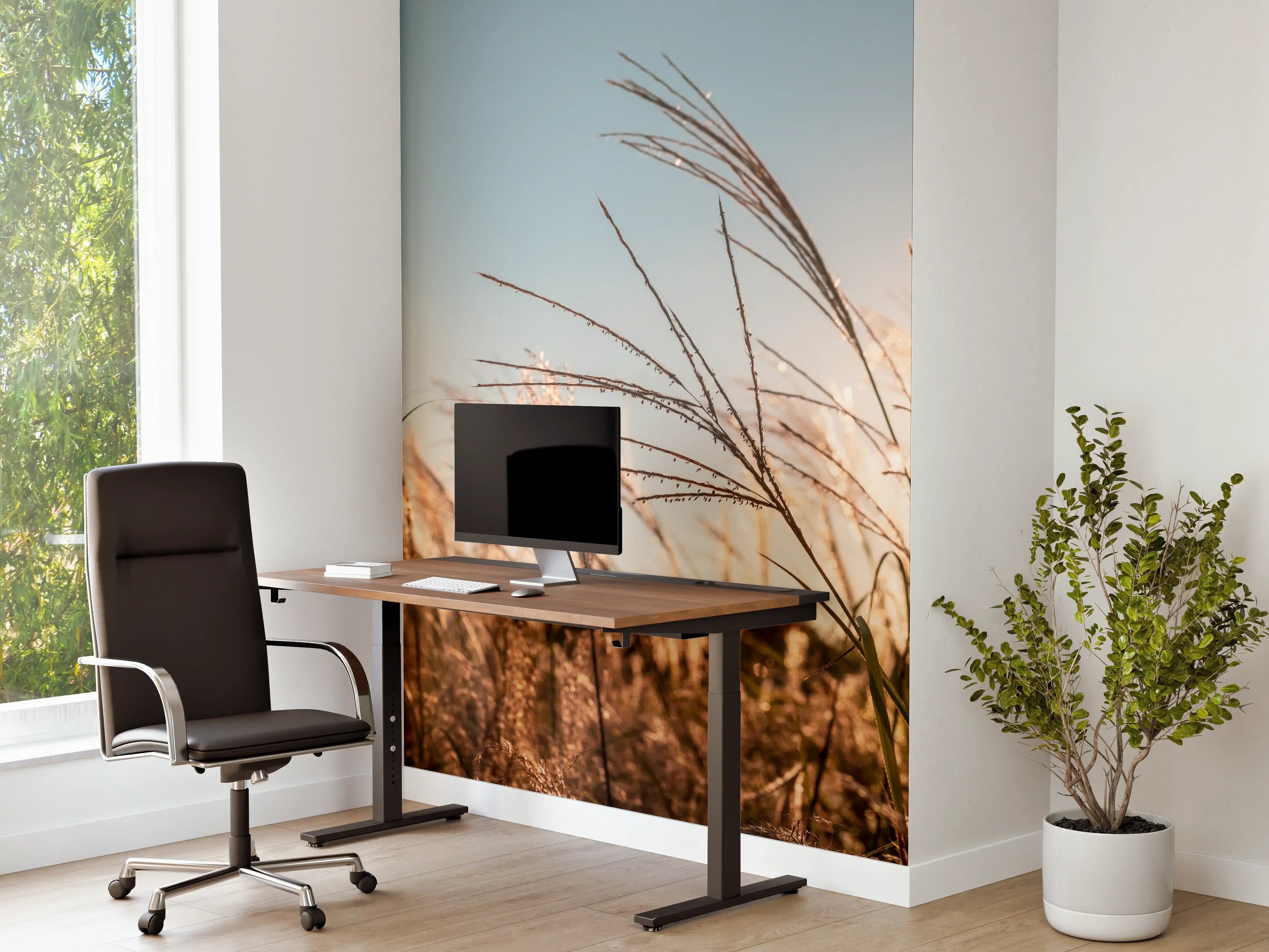 Büro Wandgestaltung - Weizenfeld in der Sonne