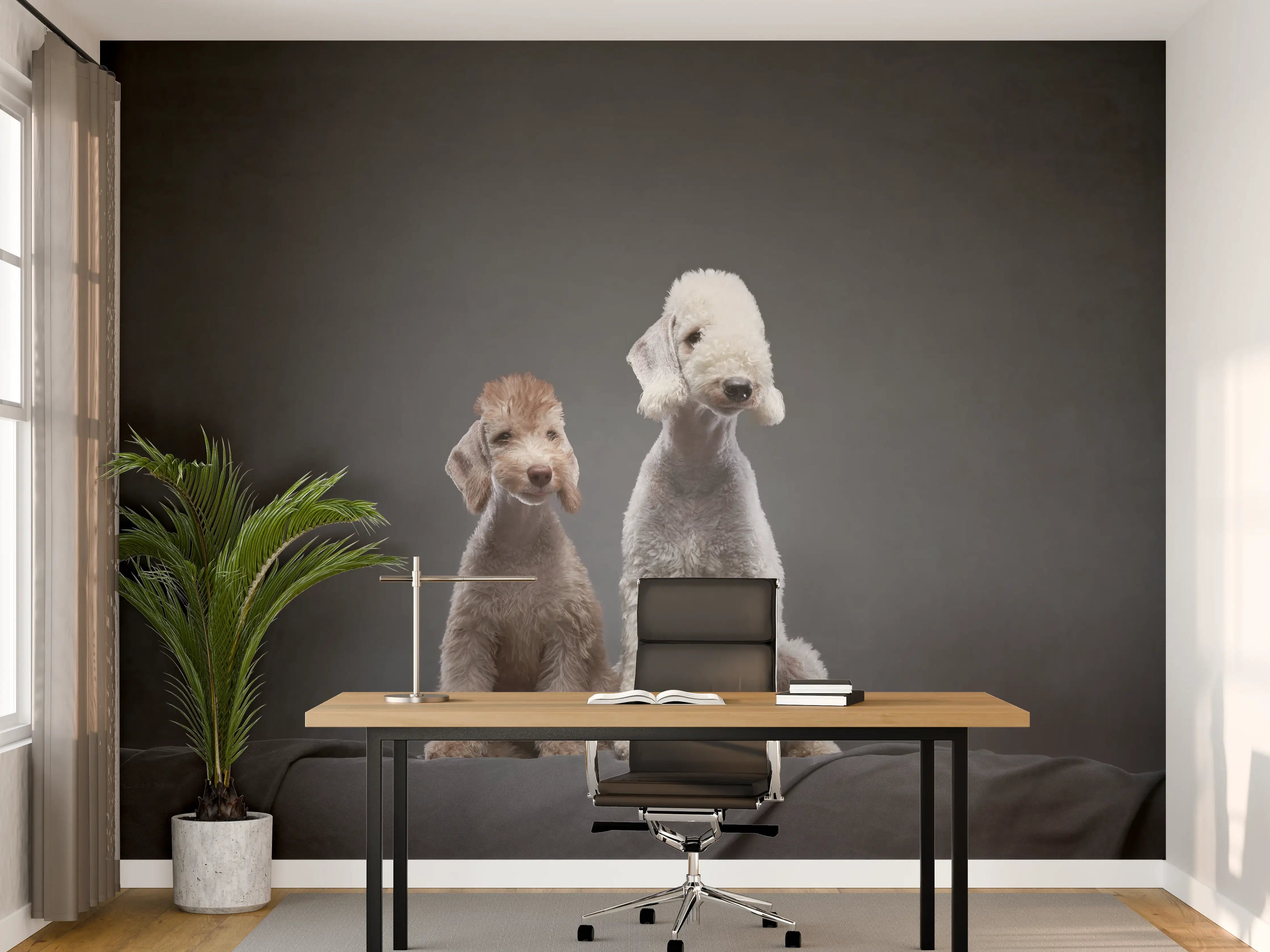 Büro Wandgestaltung - Welpe und erwachsener Bedlington Terrier