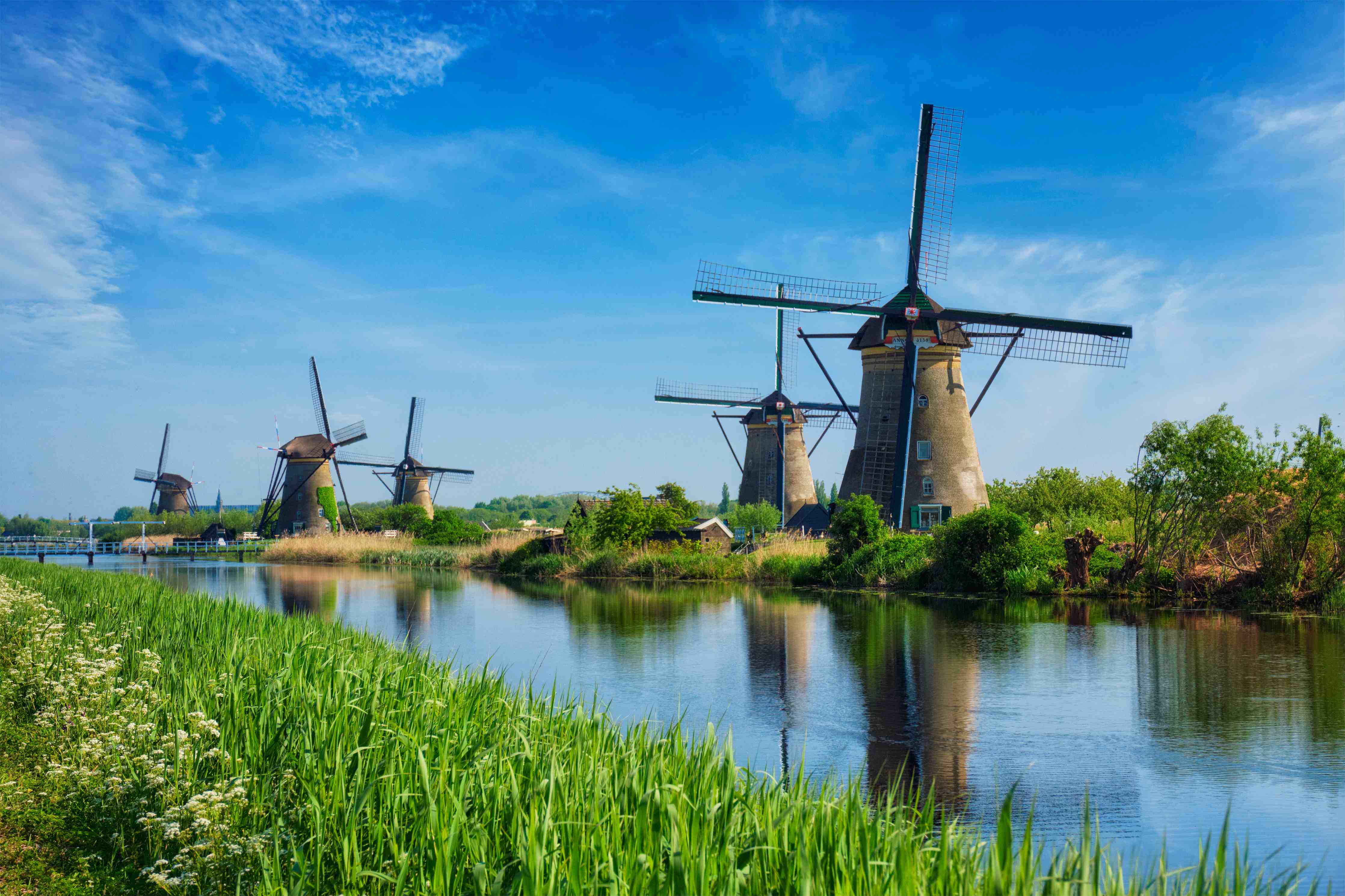 Büro Wandgestaltung-Windmühlen in Kinderdijk - Holland