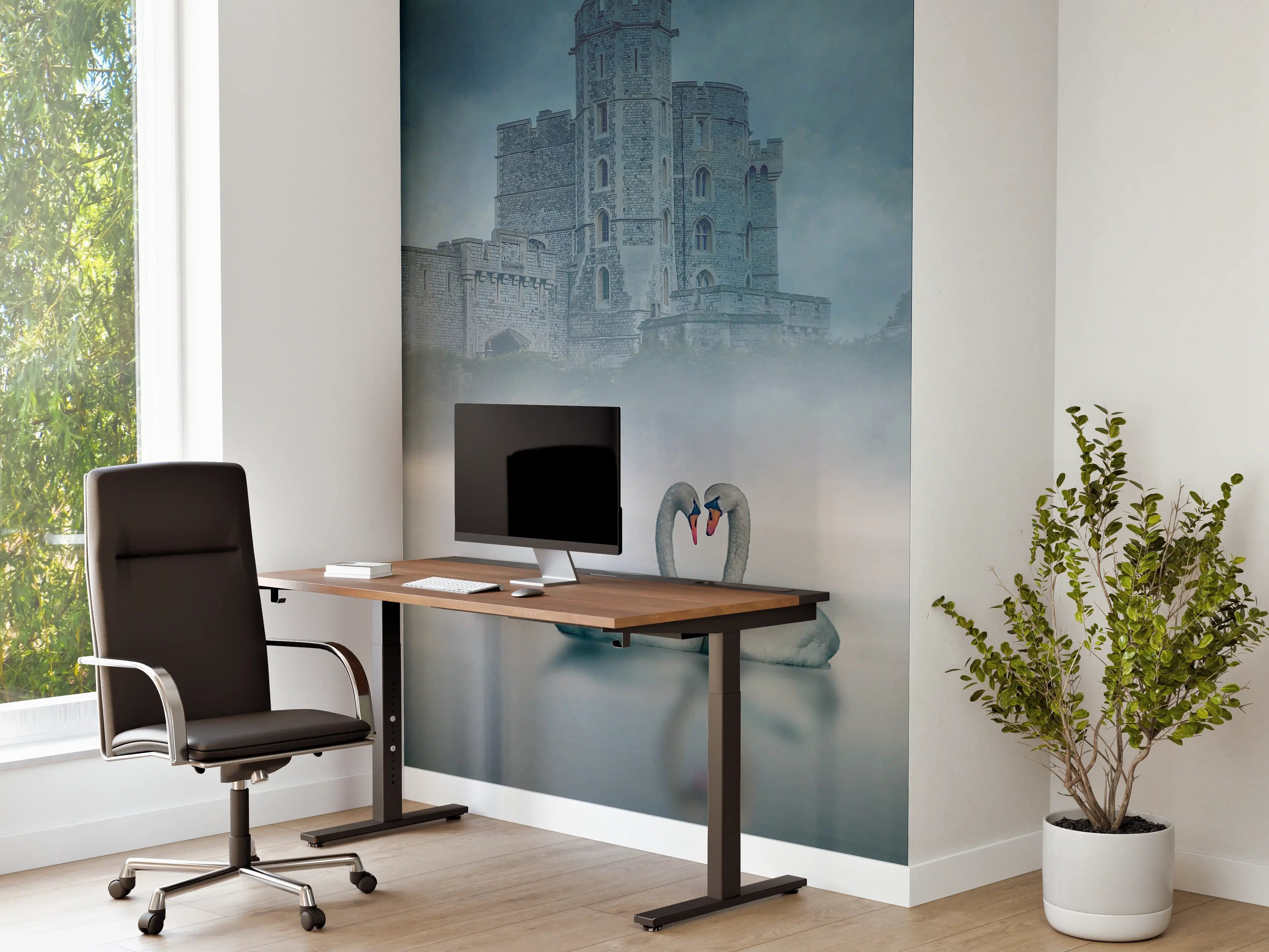 Büro Wandgestaltung - Windsor Castle mit Schwan