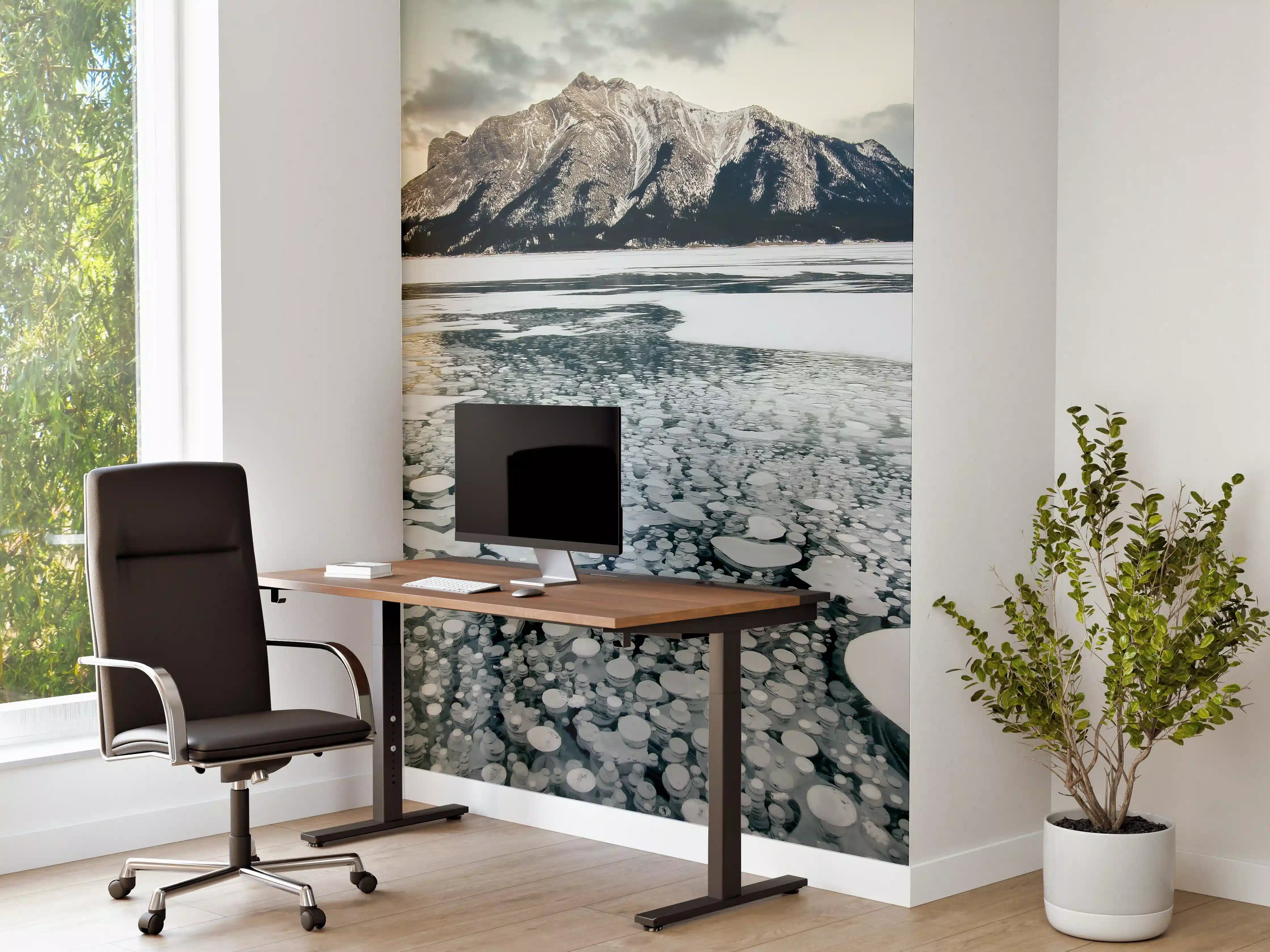 Büro Wandgestaltung - Winterlicher See mit Eisblasen