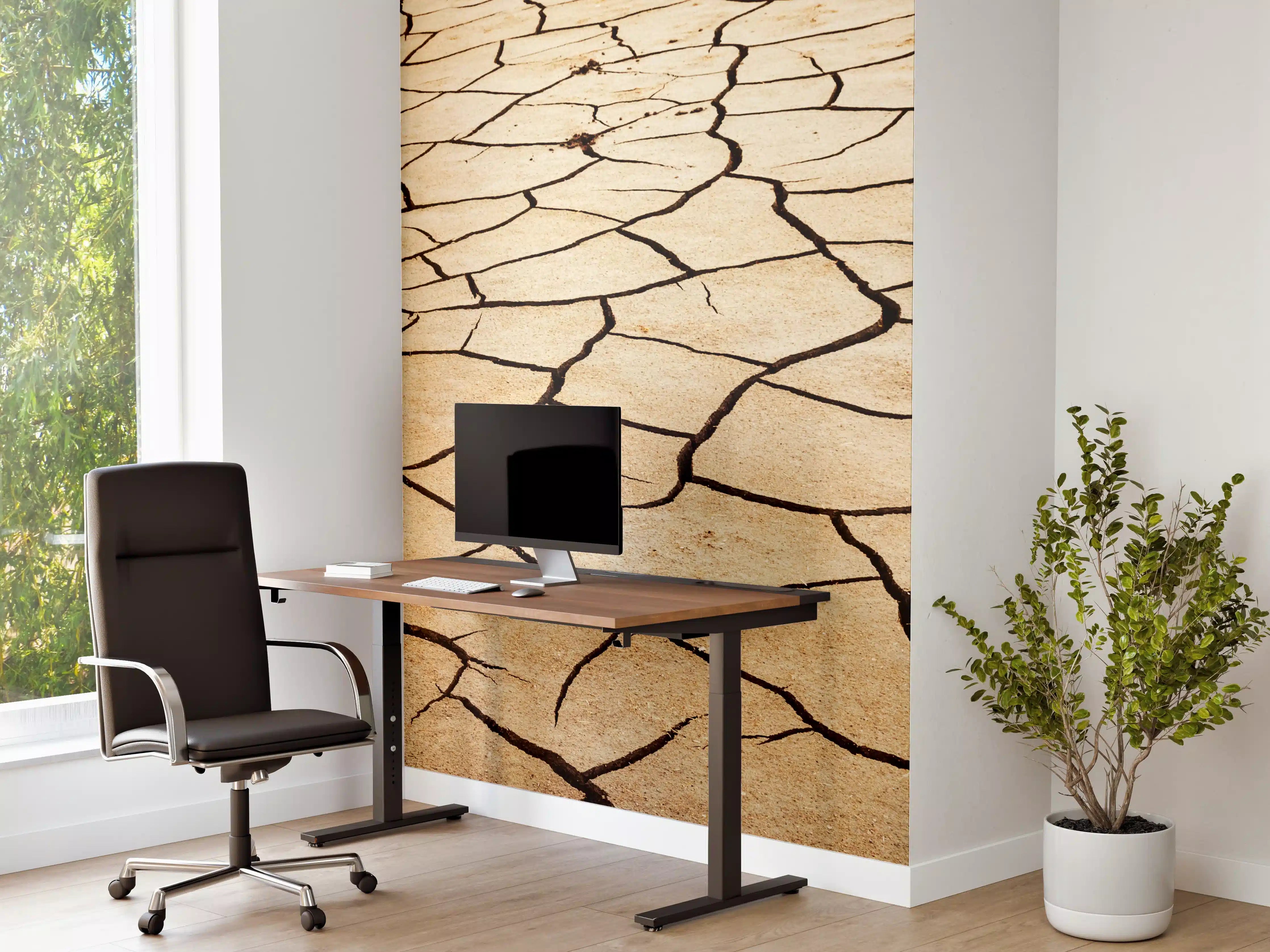 Büro Wandgestaltung - Wüstenlandschaft mit trockener Erde