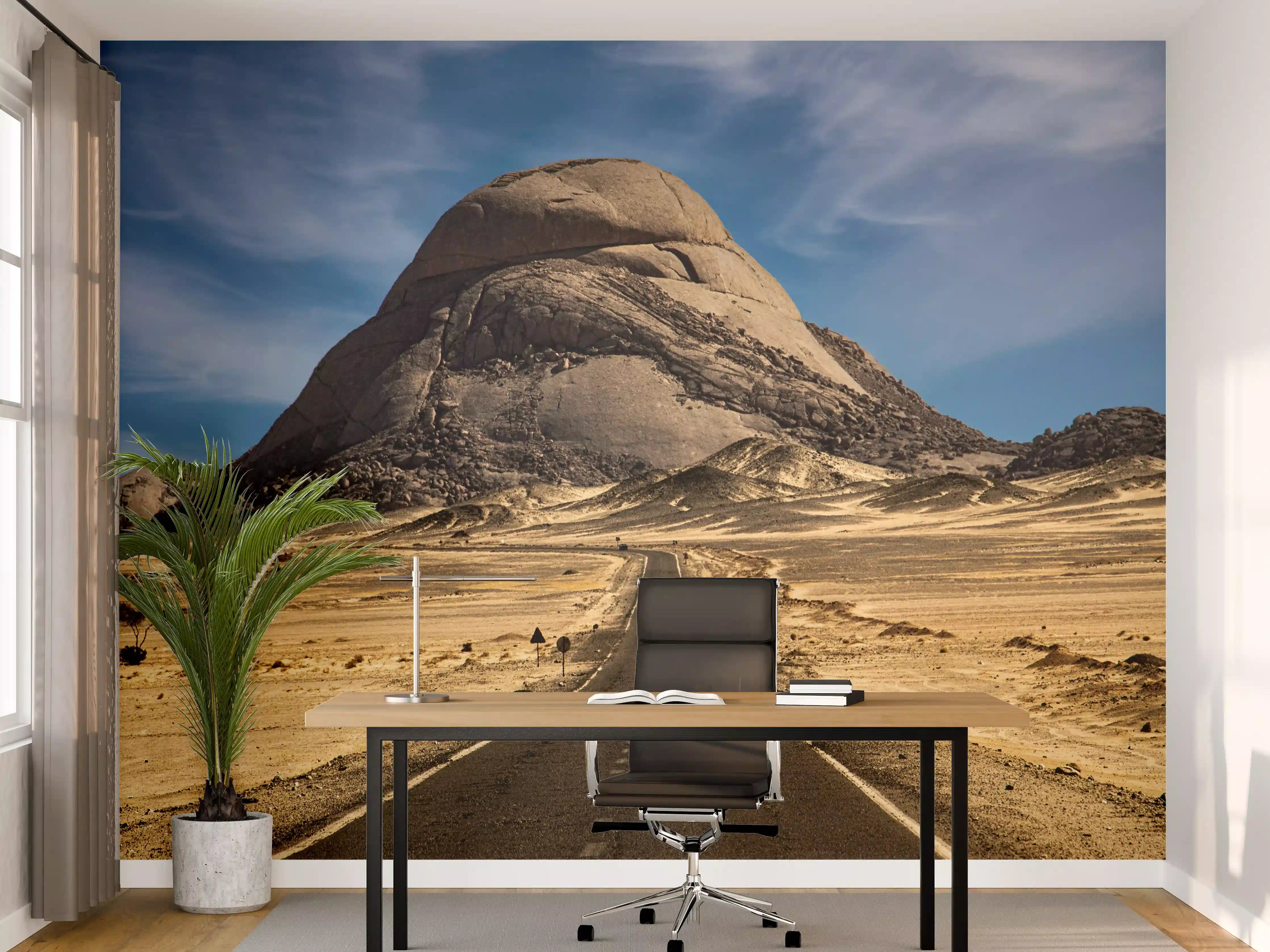 Büro Wandgestaltung - Wüstenweg zum Felsmassiv