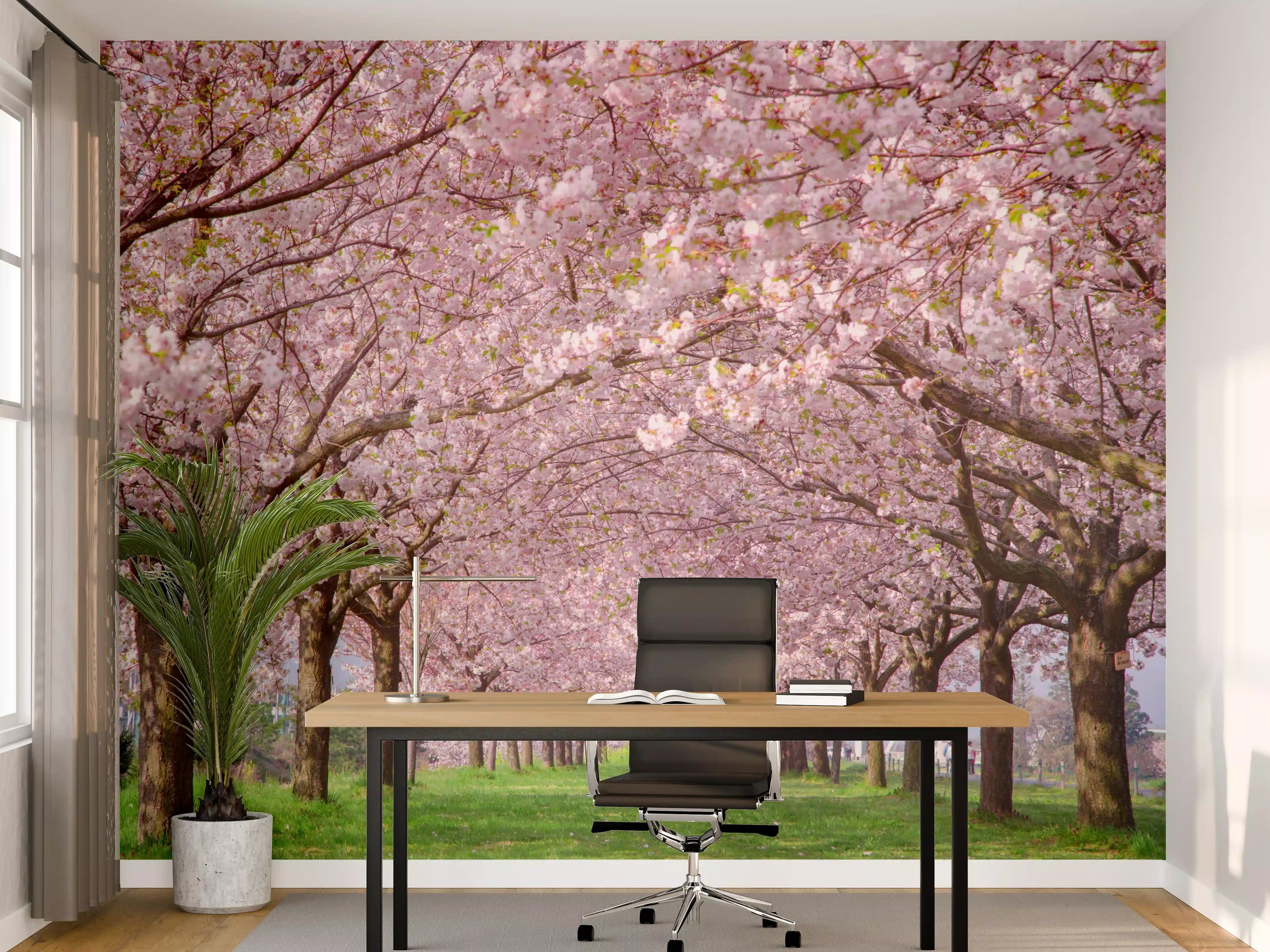 Büro Wandgestaltung - Wunderschöne Kirschbaumallee