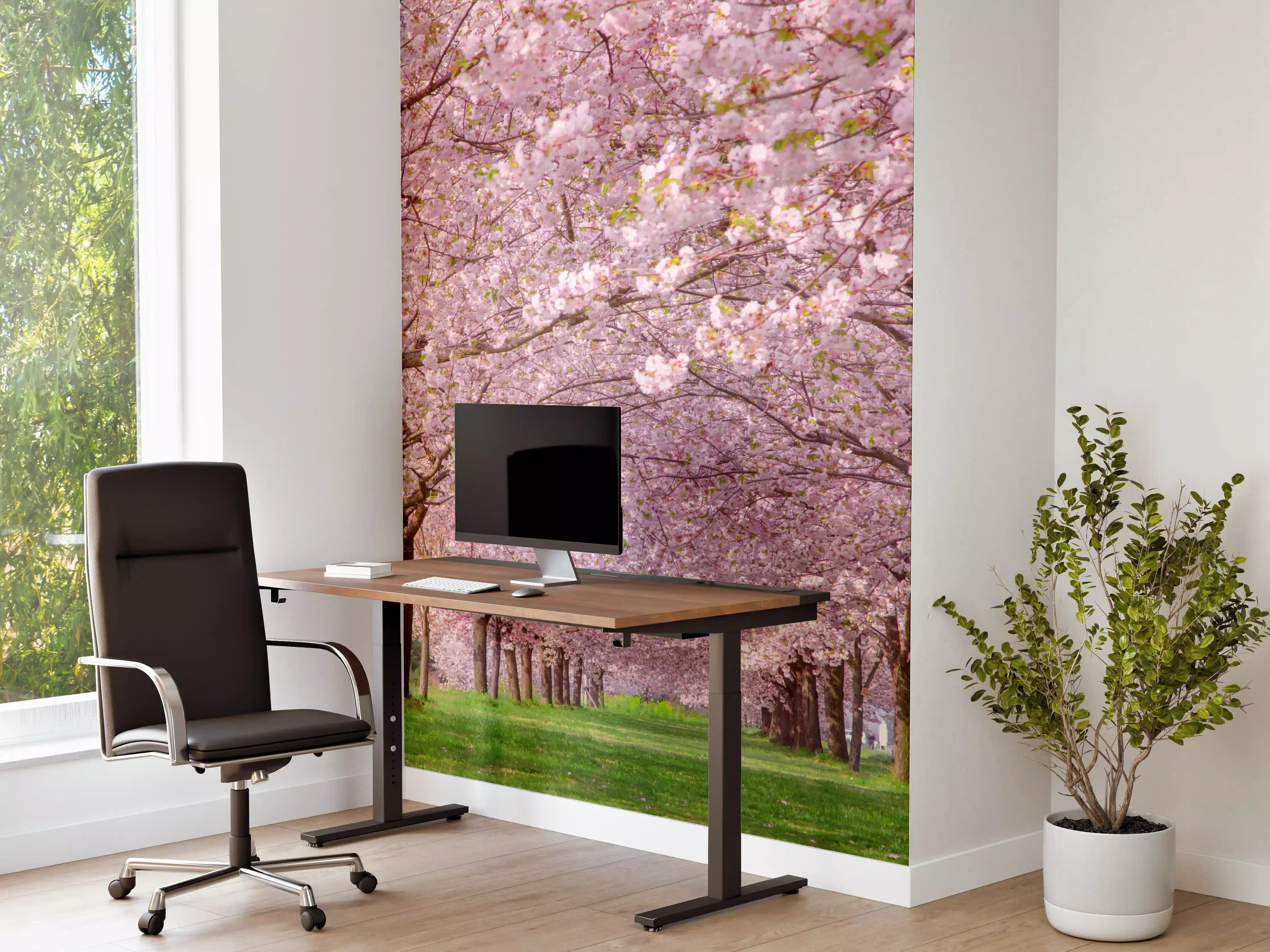 Büro Wandgestaltung - Wunderschöne Kirschbaumallee