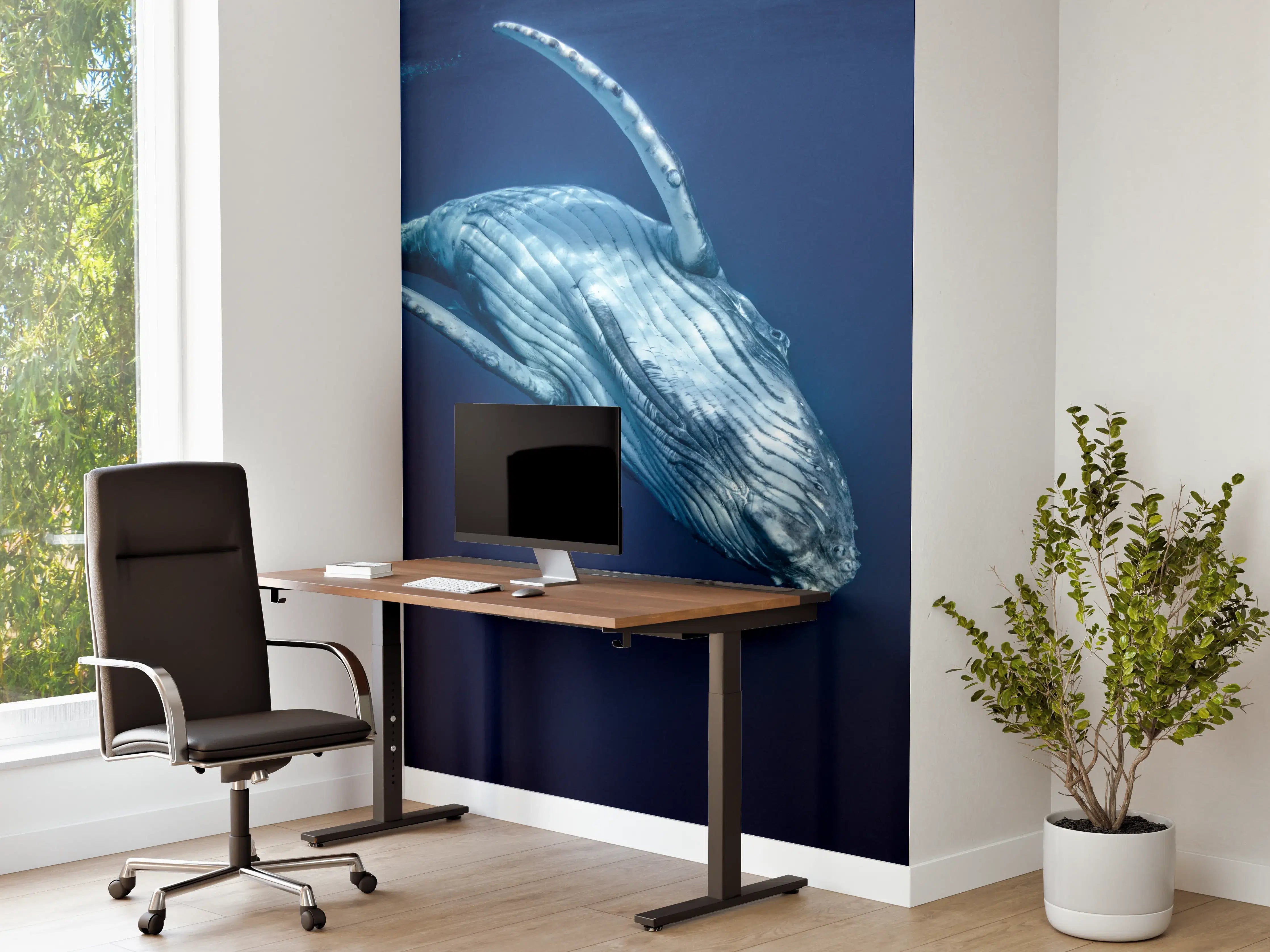 Büro Wandgestaltung - Wunderschönes Buckelwalbaby