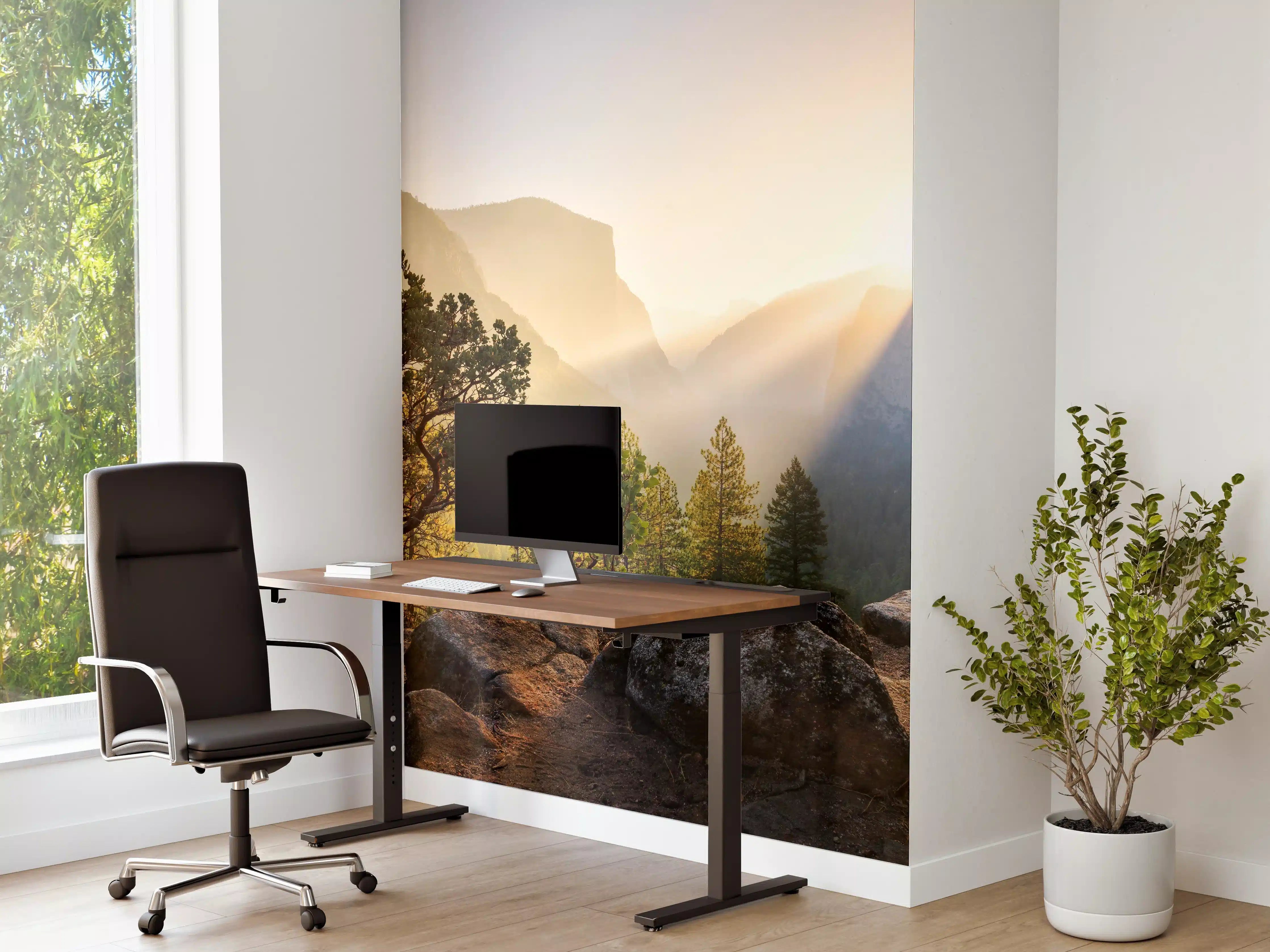 Büro Wandgestaltung - Yosemite Sonnenstrahlen Panorama