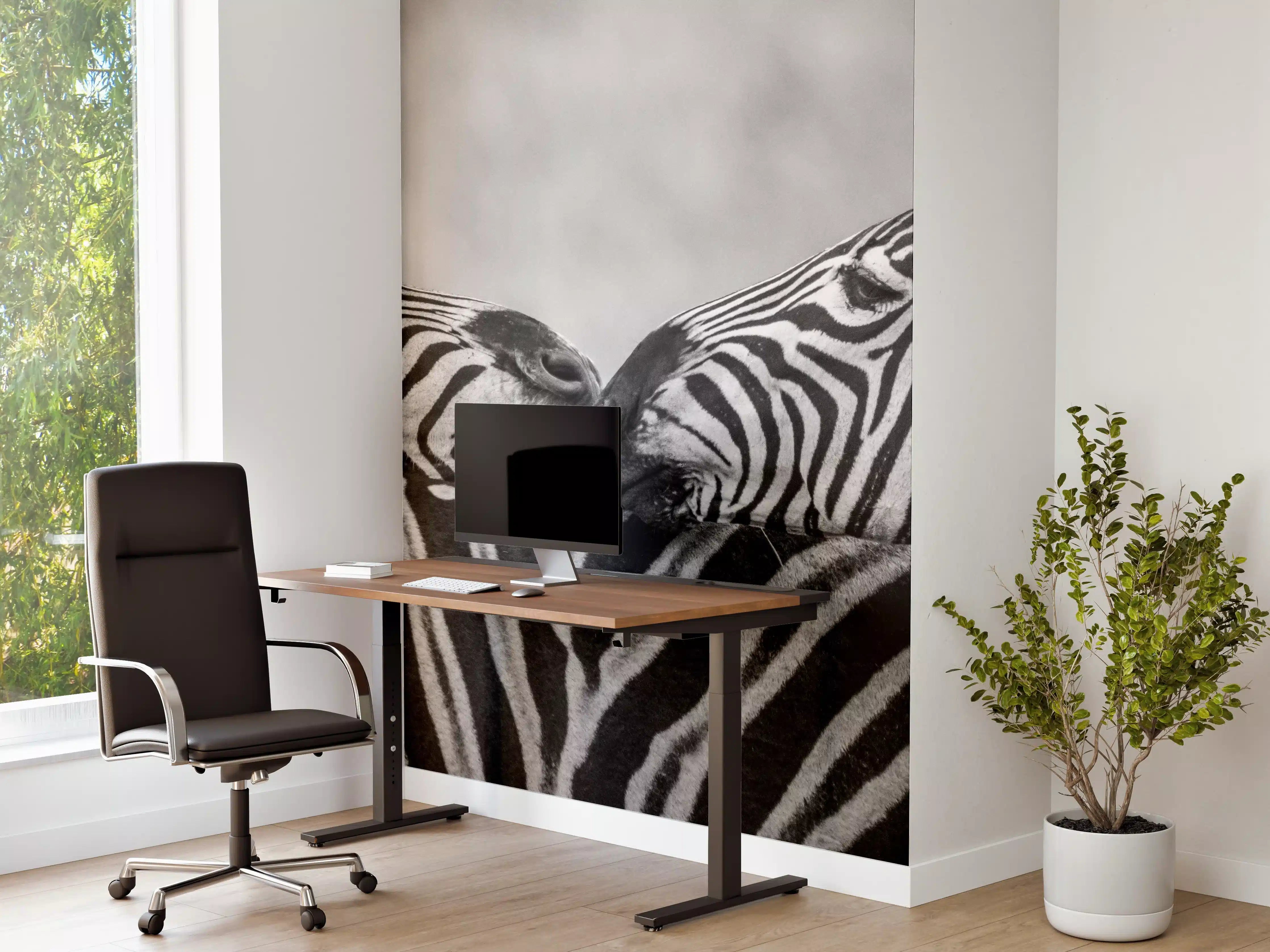 Büro Wandgestaltung - Zebras - Schwarz-weiß