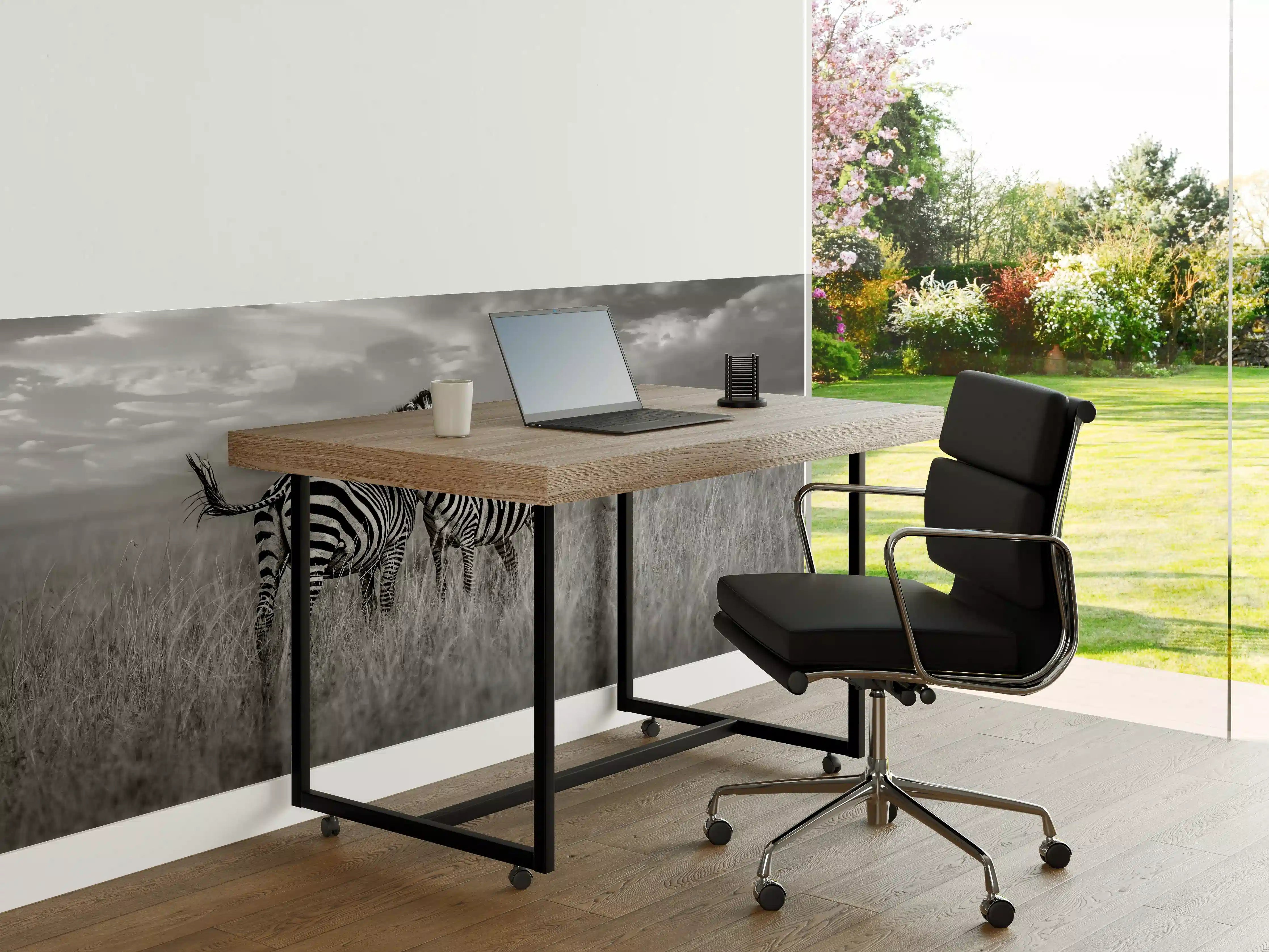 Büro Wandgestaltung - Zebras in ihrer Natur - Savanne