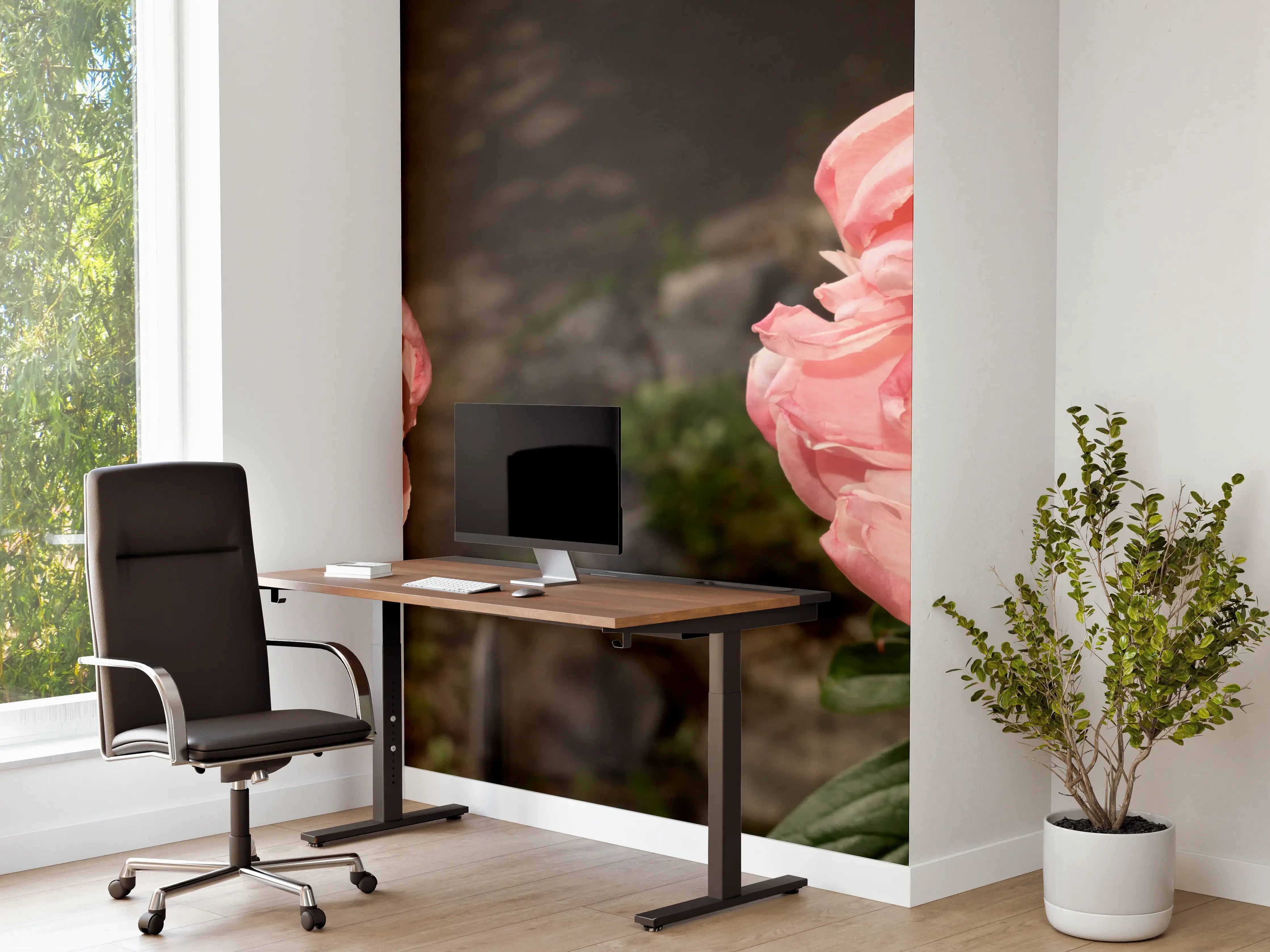 Büro Wandgestaltung - Zwei rosa Pfingstrosen in einem alten Garten.