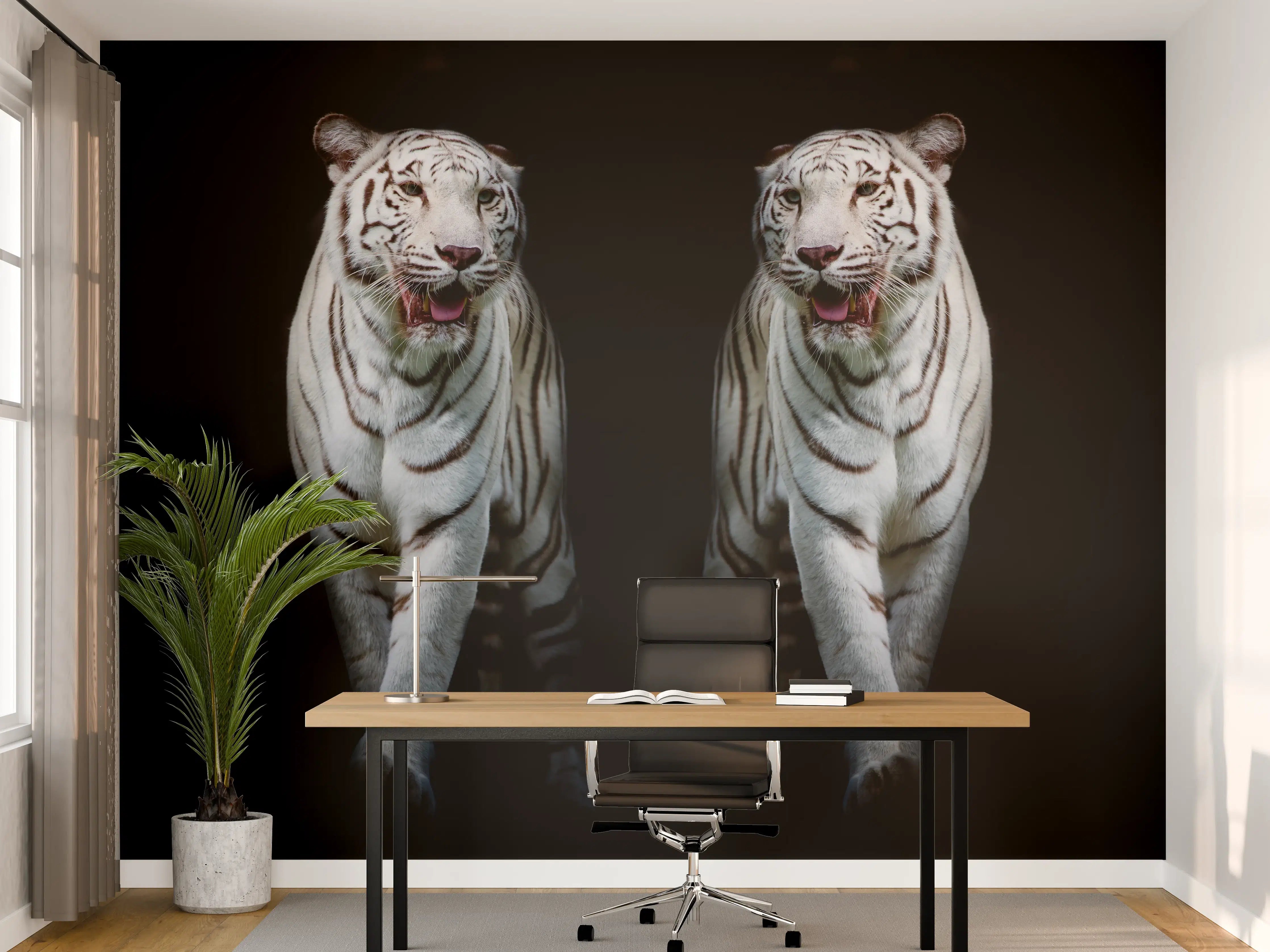 Büro Wandgestaltung - Zwei weiße Tiger auf schwarzem Hintergrund