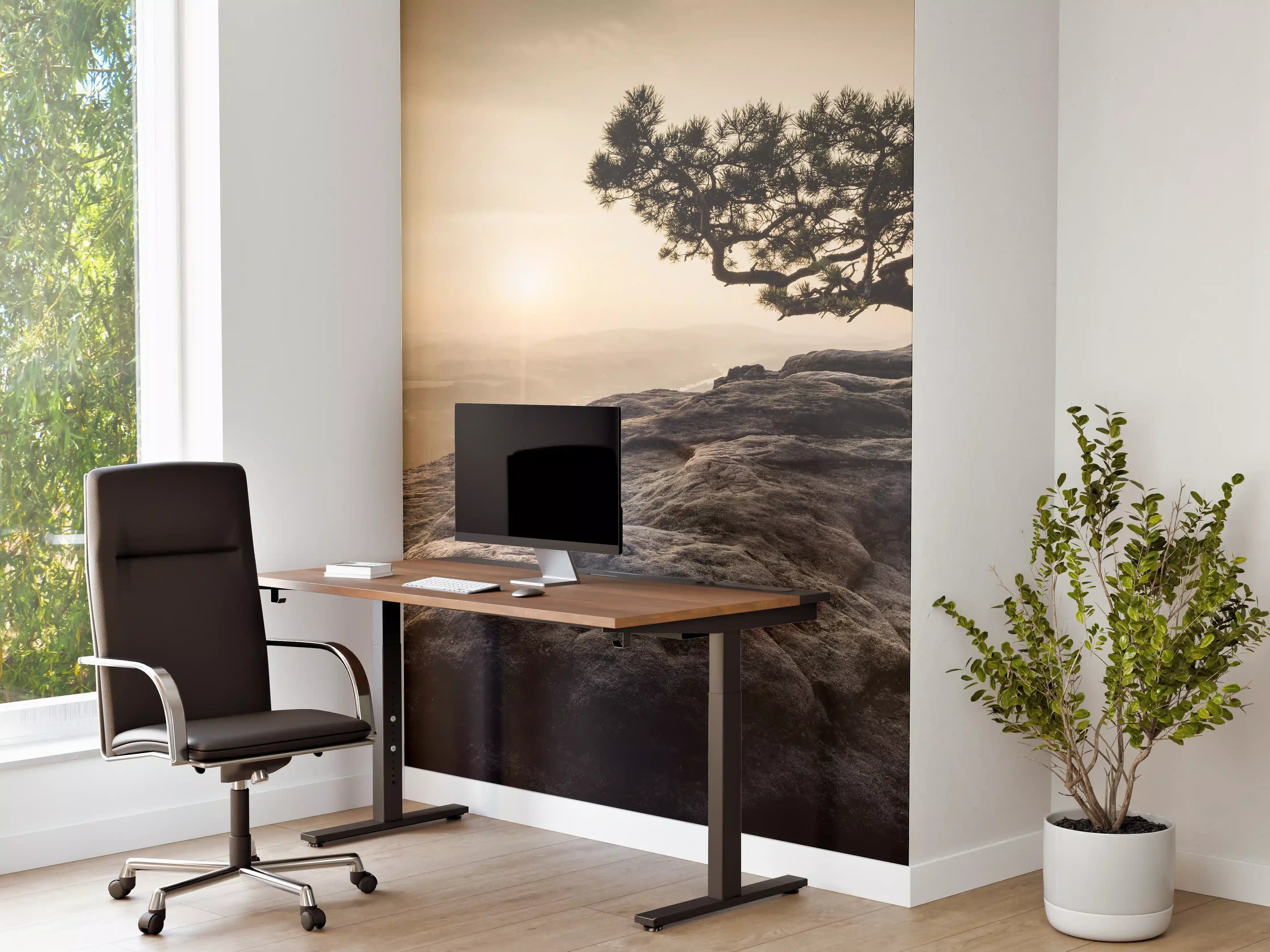 Büro Wandgestaltung - alte Kiefer zum Sonnenaufgang - Sächsische Schweiz