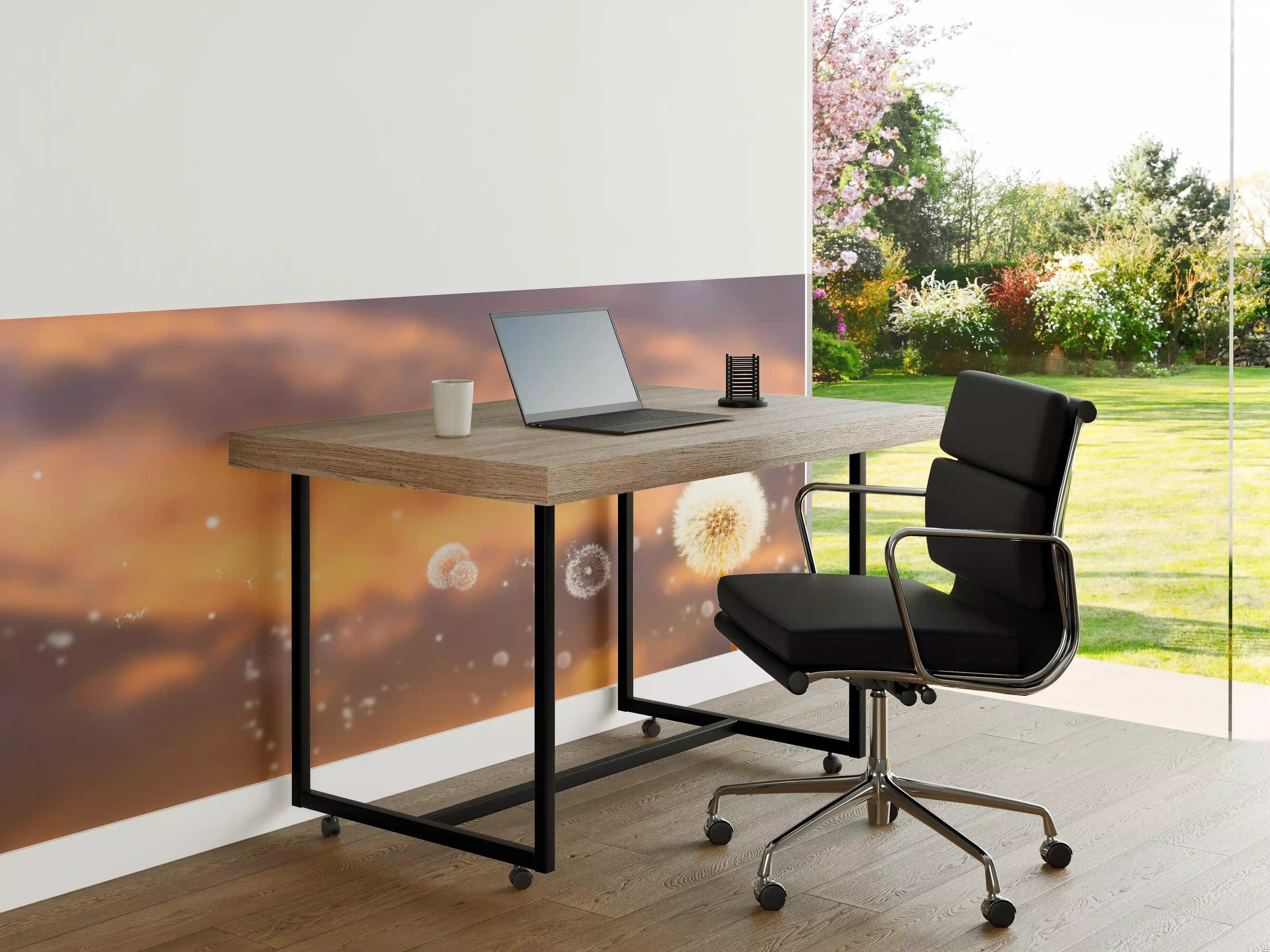 Büro Wandgestaltung - blütenstaub von pusteblumen in der abendsonne