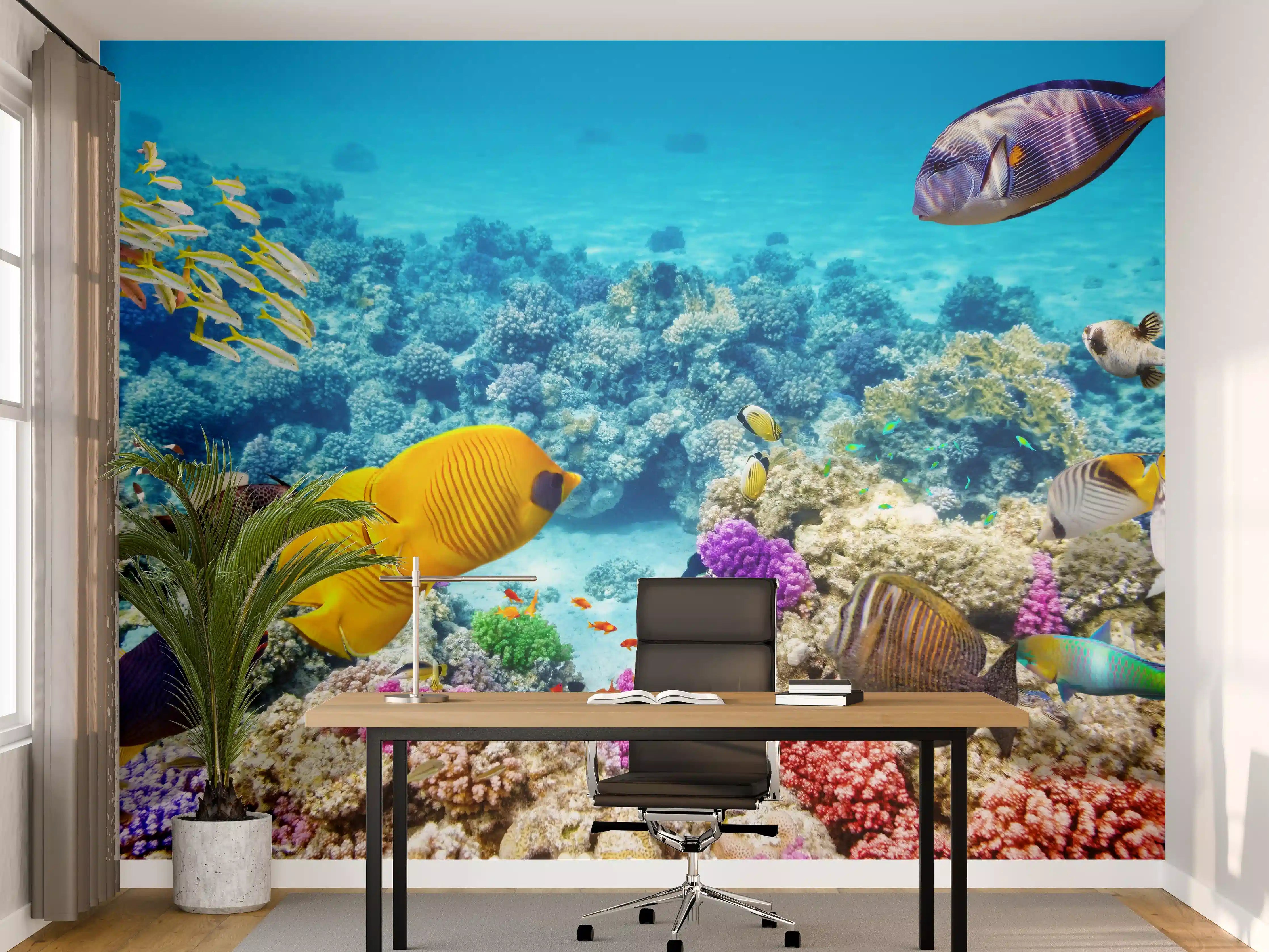 Büro Wandgestaltung - bunte Unterwasserwelt in Australien