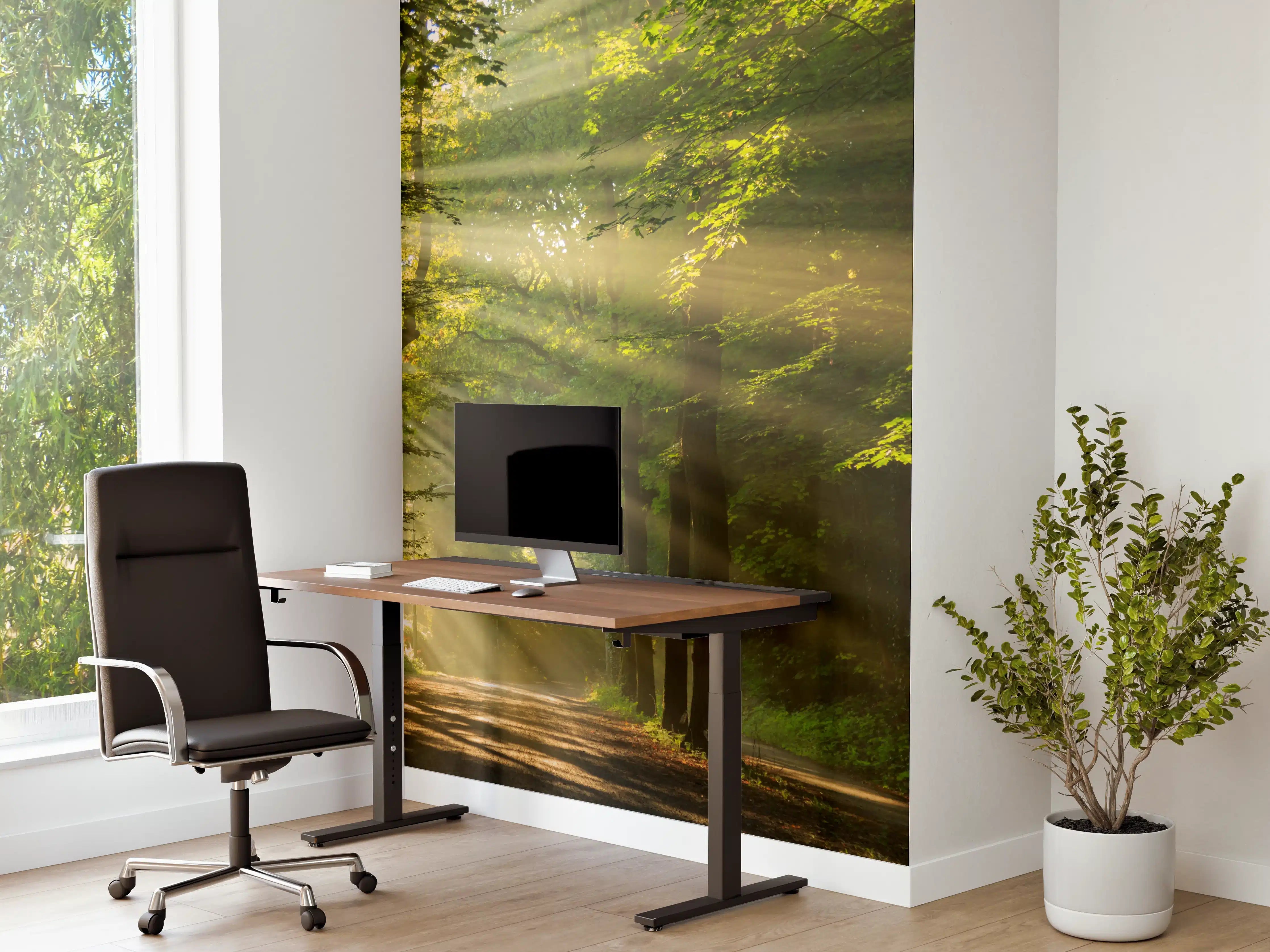 Büro Wandgestaltung - erleuchtende Sonnenstrahlen in den Wald