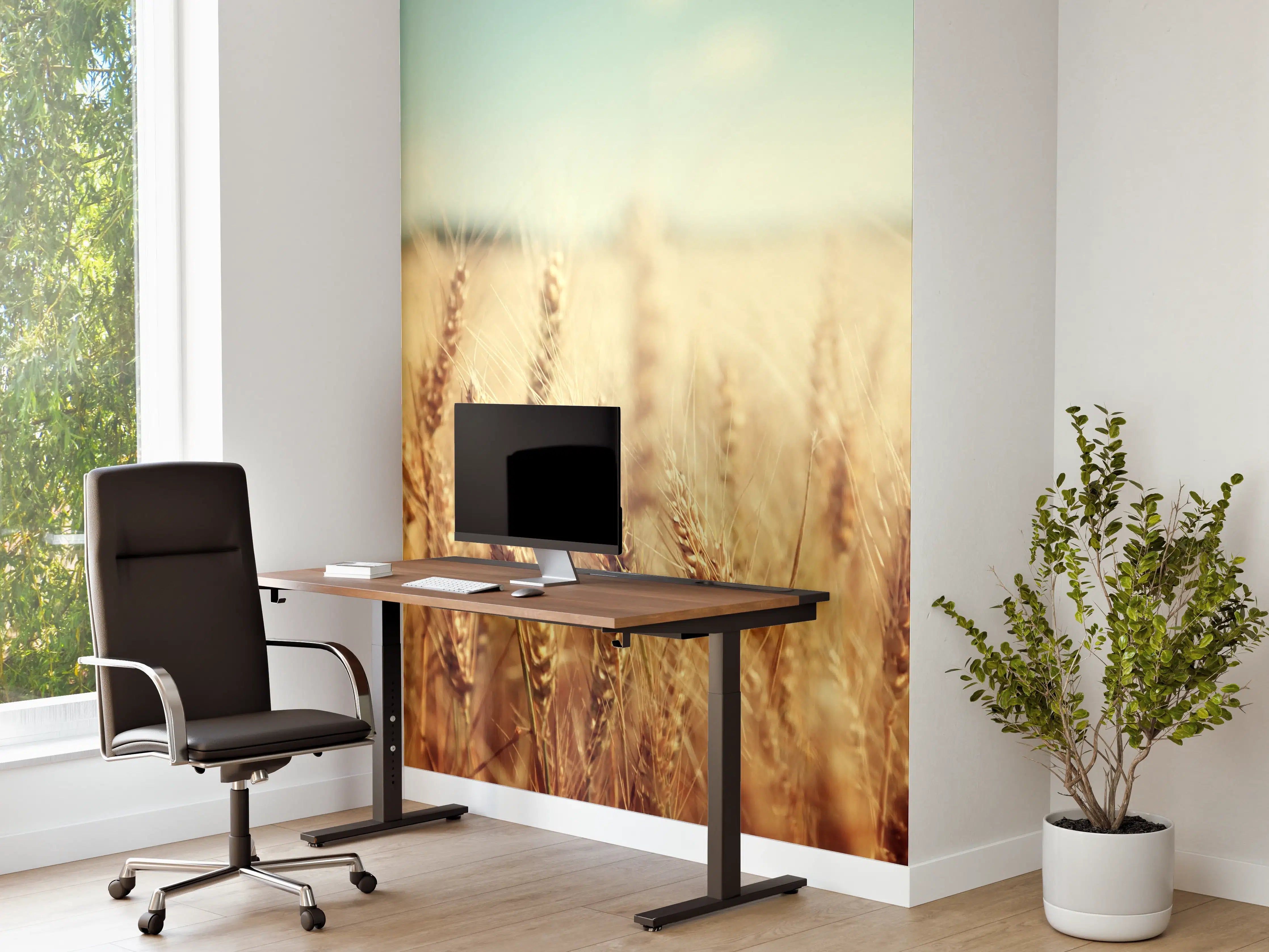 Büro Wandgestaltung - goldenes Weizenfeld in der Sonne
