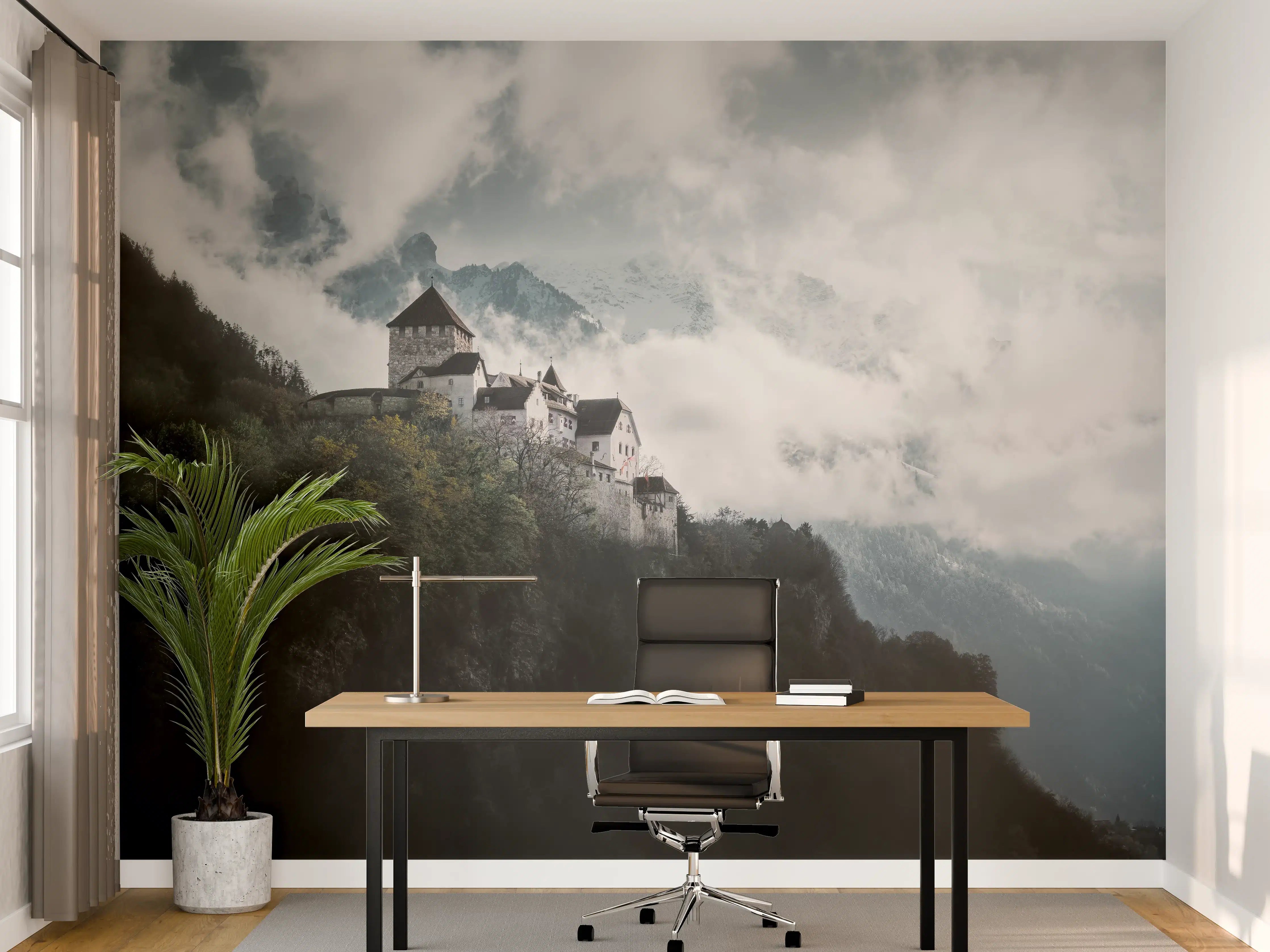 Büro Wandgestaltung - herausragendes Schloss Vaduz