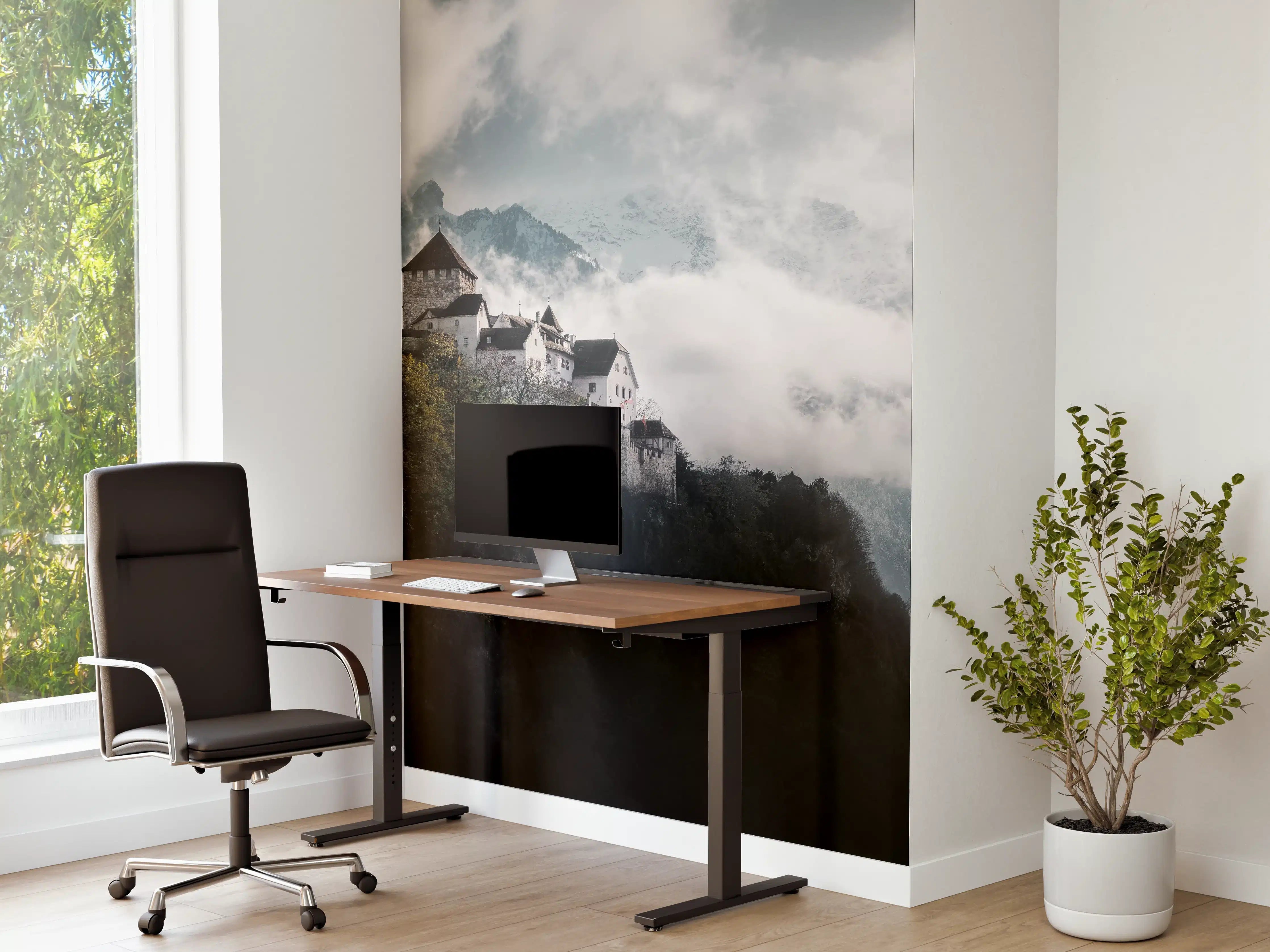 Büro Wandgestaltung - herausragendes Schloss Vaduz