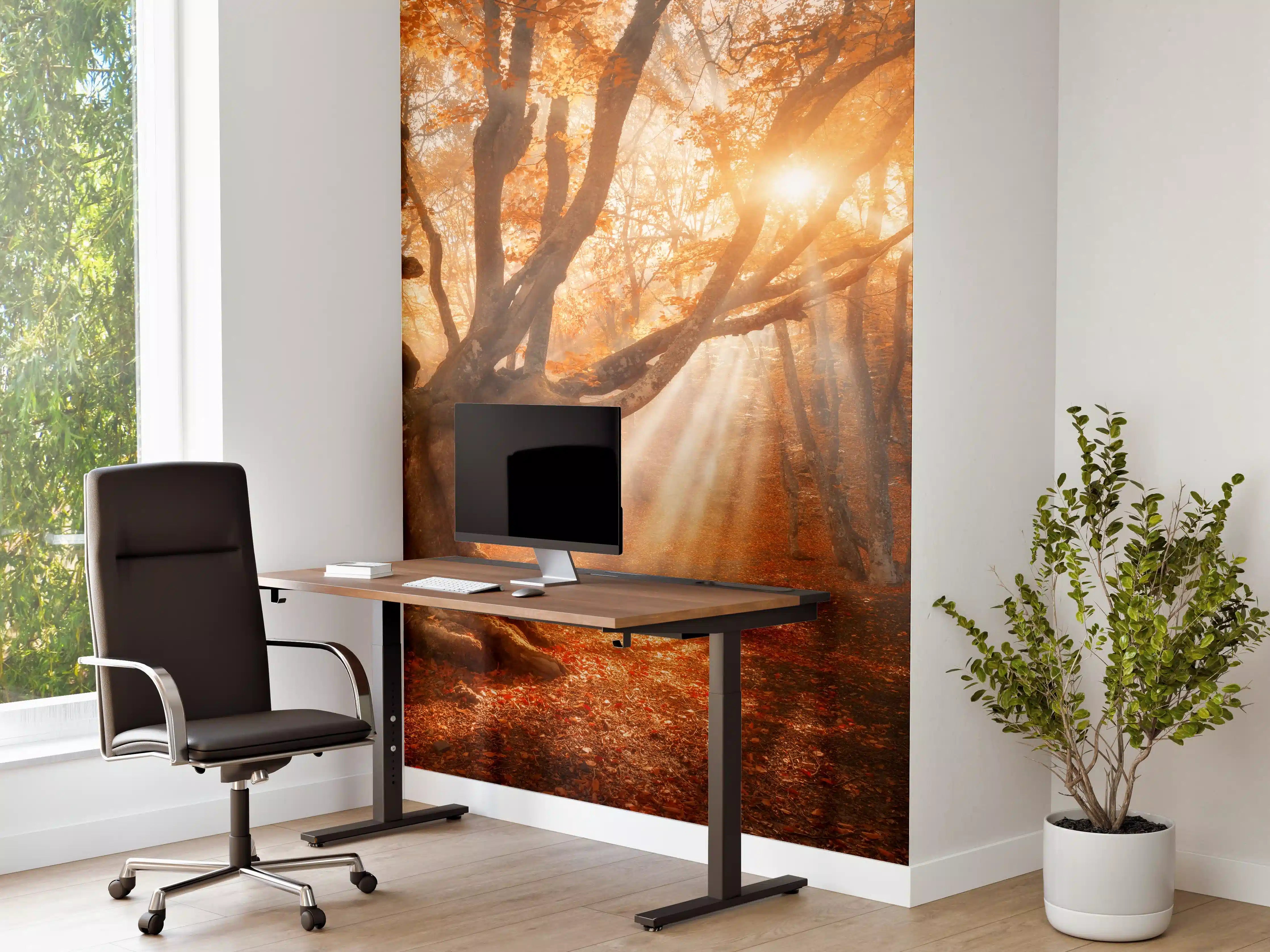 Büro Wandgestaltung - magischer alter Baum im Herbst