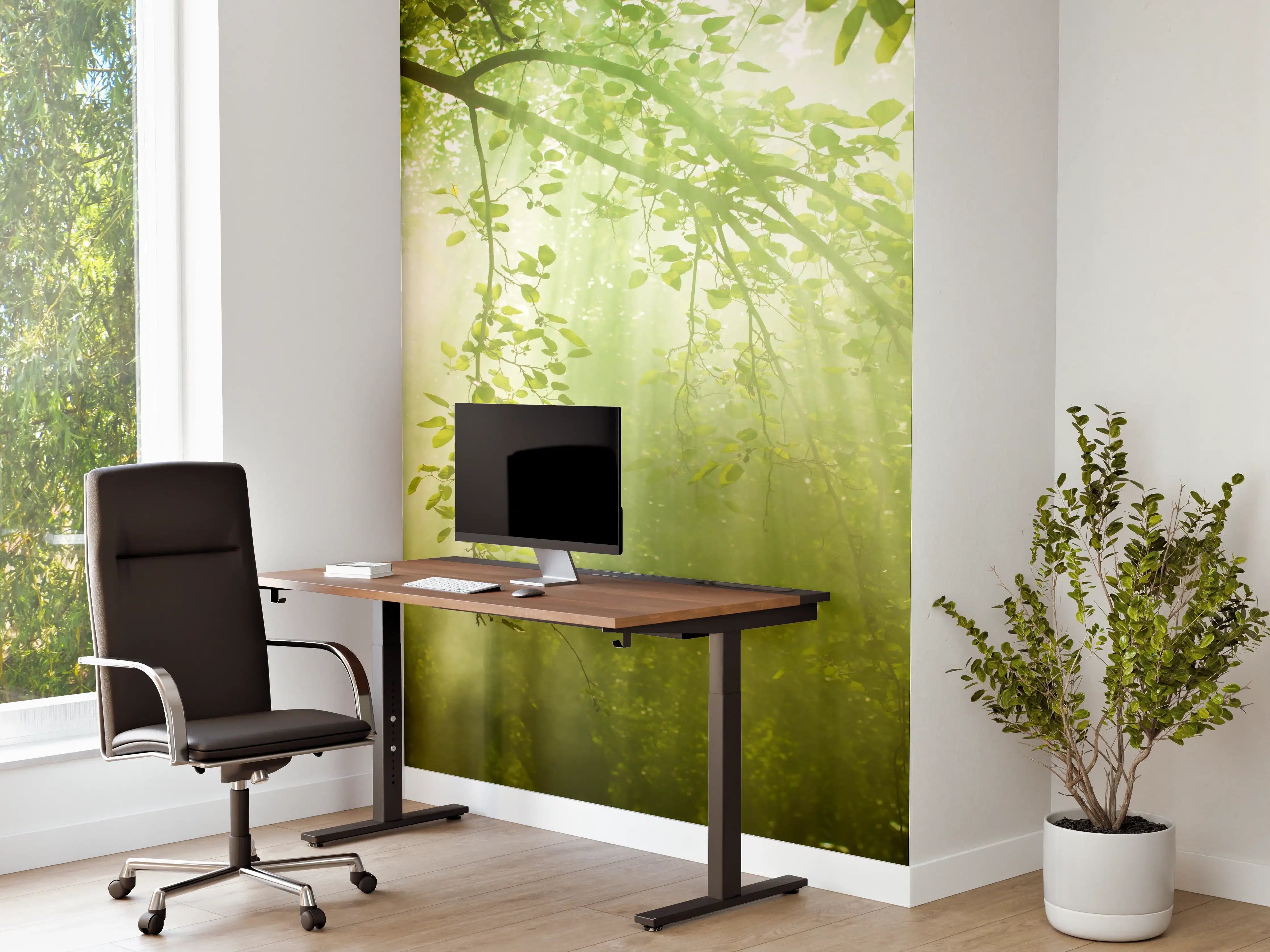 Büro Wandgestaltung - mystischer Grüner Wald mit Sonnenstrahl