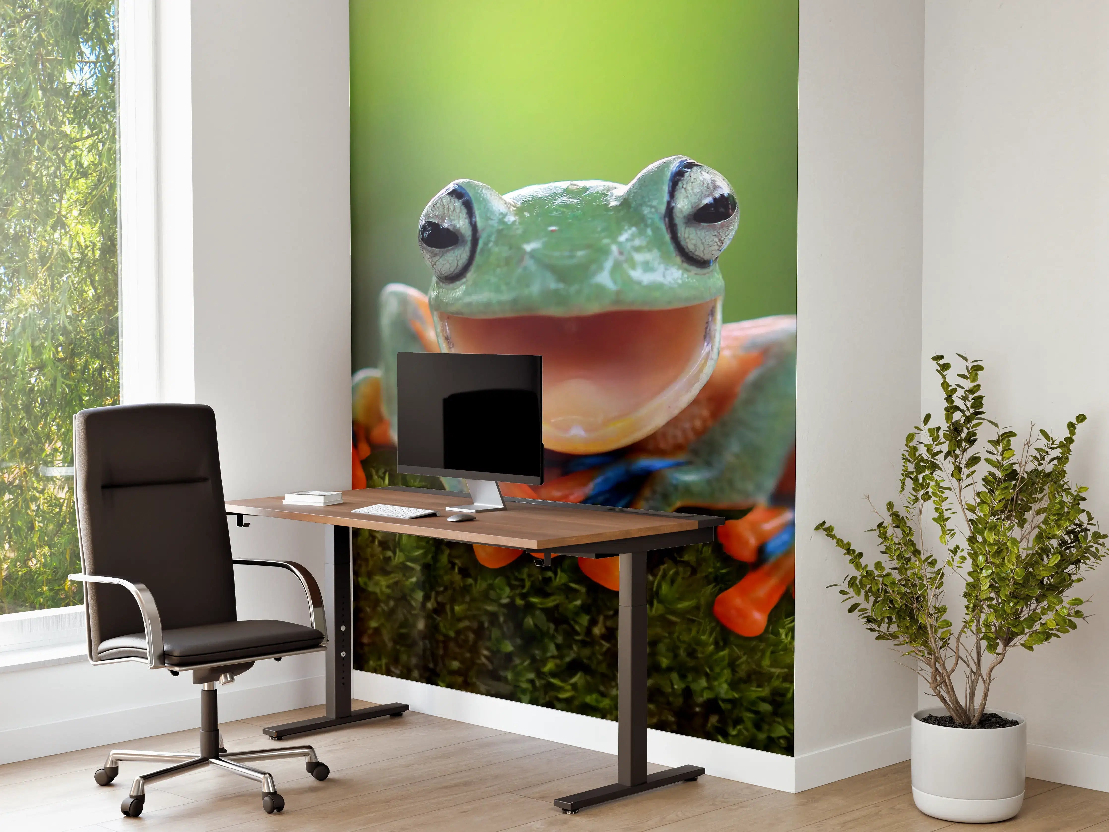 Büro Wandgestaltung - niedlicher Laubfrosch in Nahaufnahme