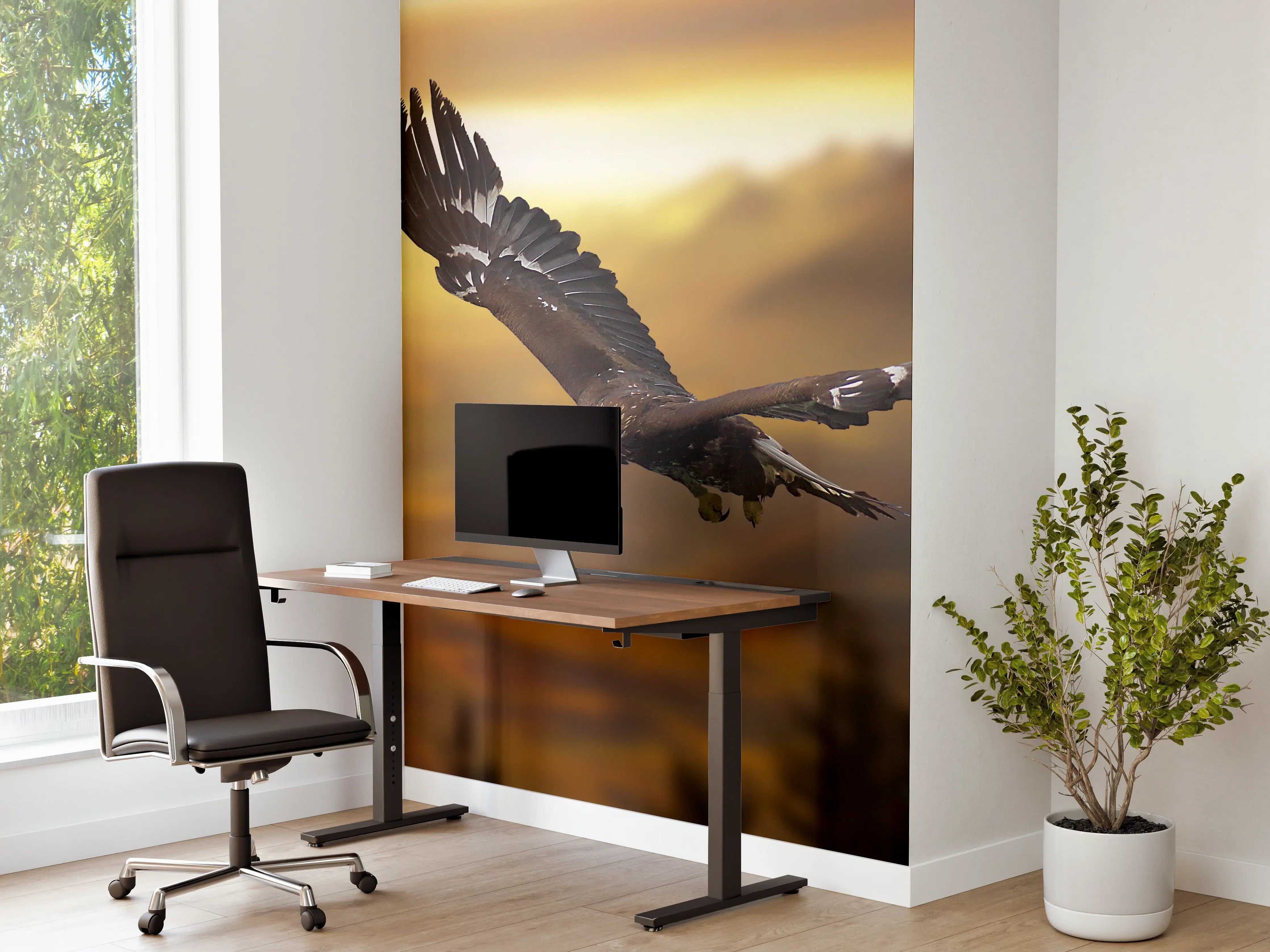 Büro Wandgestaltung - prachtvolle Steinadler im Flug