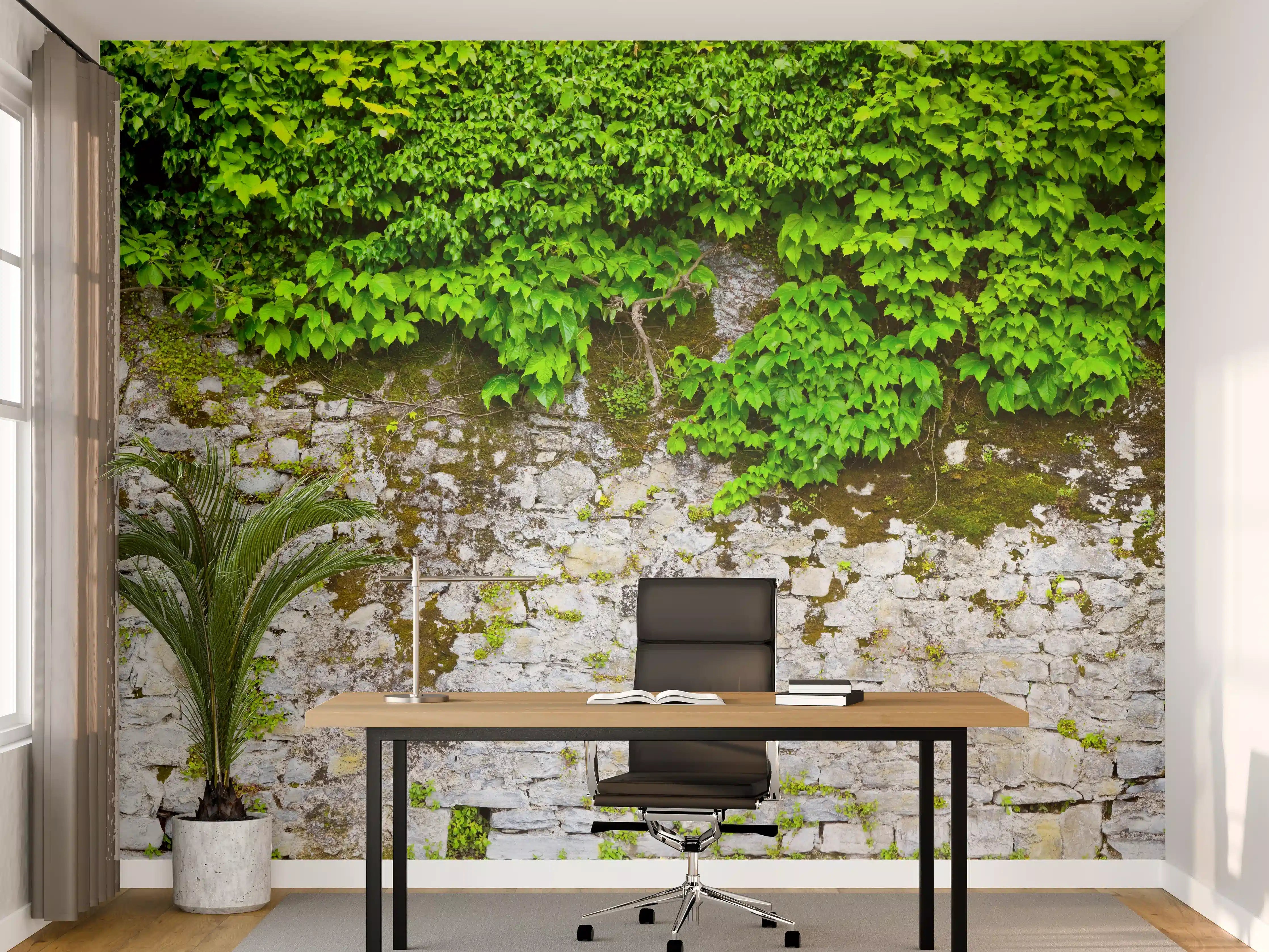 Büro Wandgestaltung - überwucherte Burgmauer