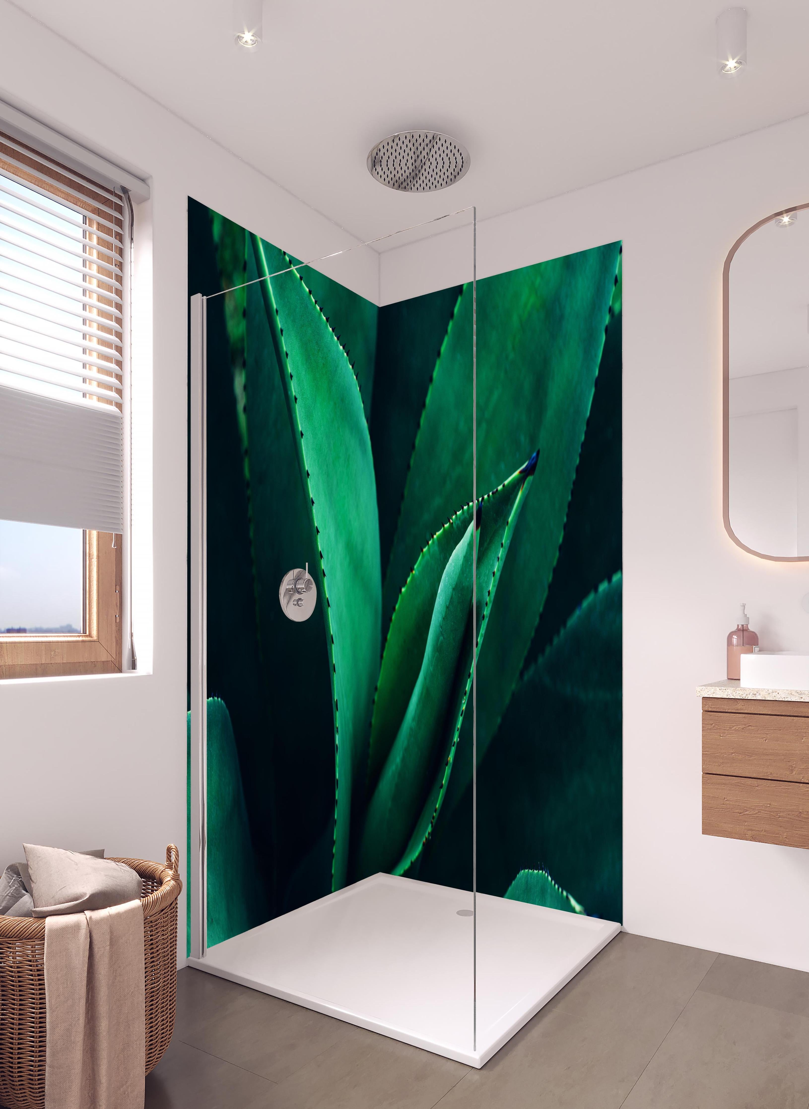 Duschrückwand - Agave Kaktus - Nahaufnahme in hellem Badezimmer mit Regenduschkopf - zweiteilige Eck-Duschrückwand