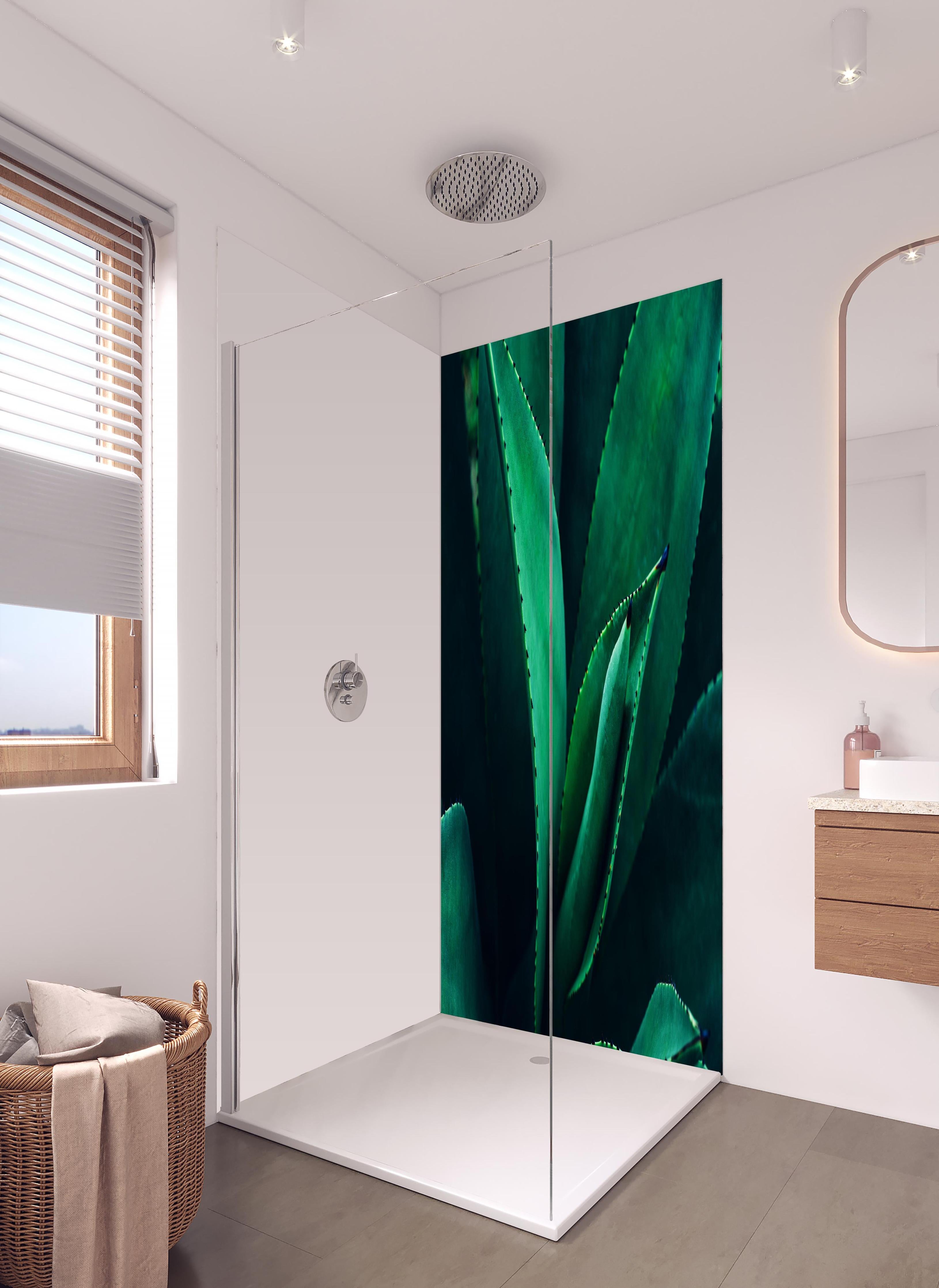 Duschrückwand - Agave Kaktus - Nahaufnahme in hellem Badezimmer mit Regenduschkopf - zweiteilige Eck-Duschrückwand