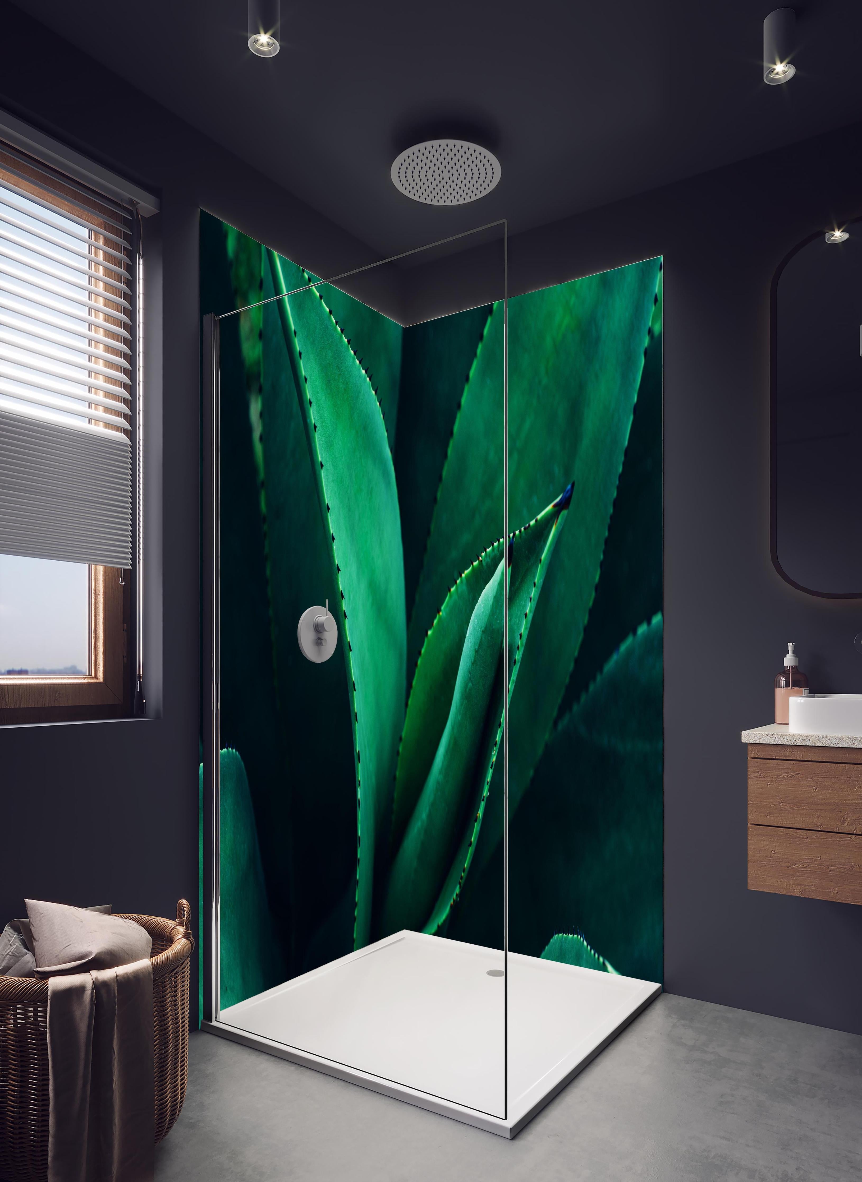 Duschrückwand - Agave Kaktus - Nahaufnahme in hellem Badezimmer mit Regenduschkopf - zweiteilige Eck-Duschrückwand