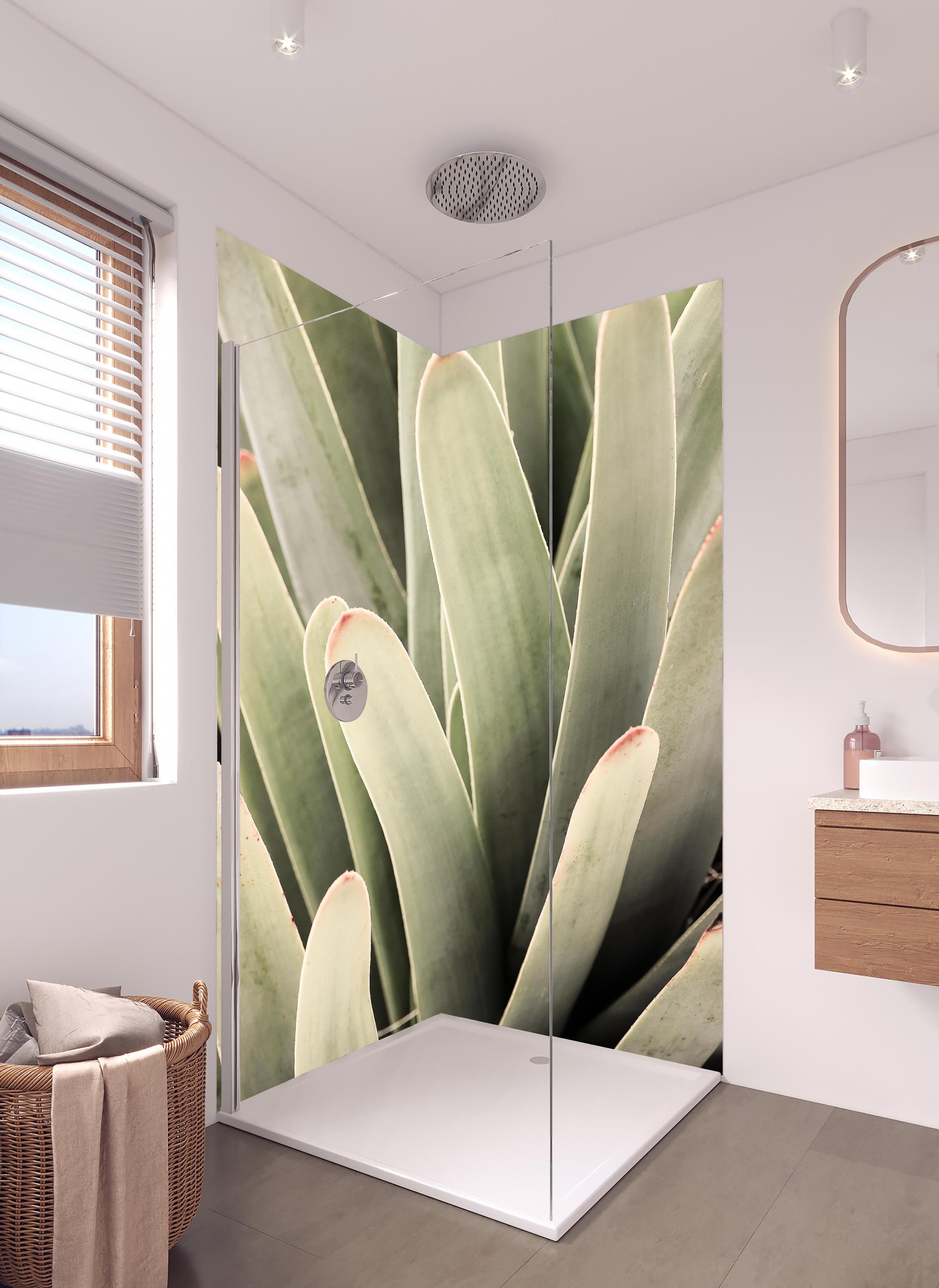 Duschrückwand - Aloe Vera Blätter Detailaufnahme Grüntöne in hellem Badezimmer mit Regenduschkopf - zweiteilige Eck-Duschrückwand