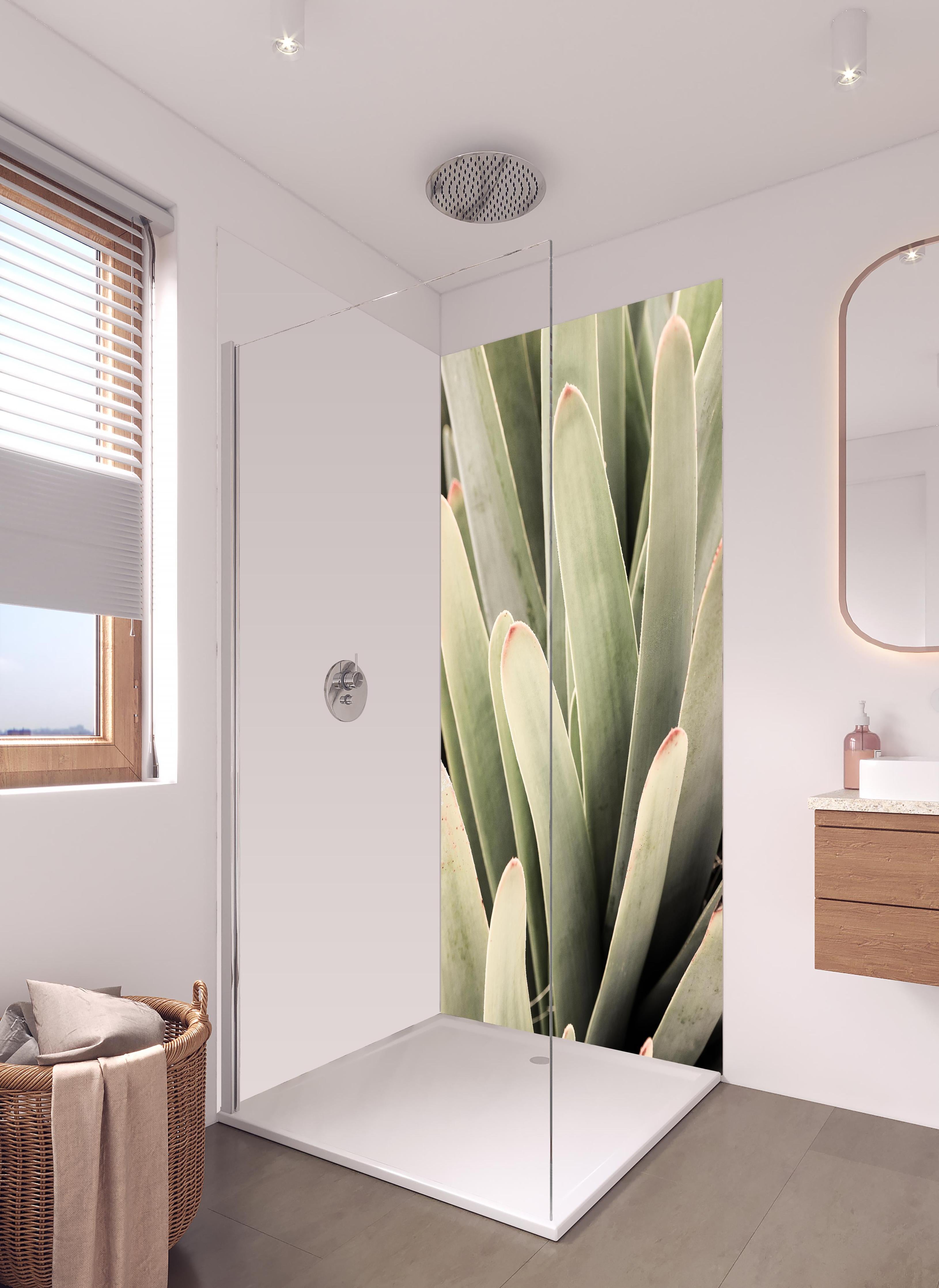 Duschrückwand - Aloe Vera Blätter Detailaufnahme Grüntöne in hellem Badezimmer mit Regenduschkopf - zweiteilige Eck-Duschrückwand