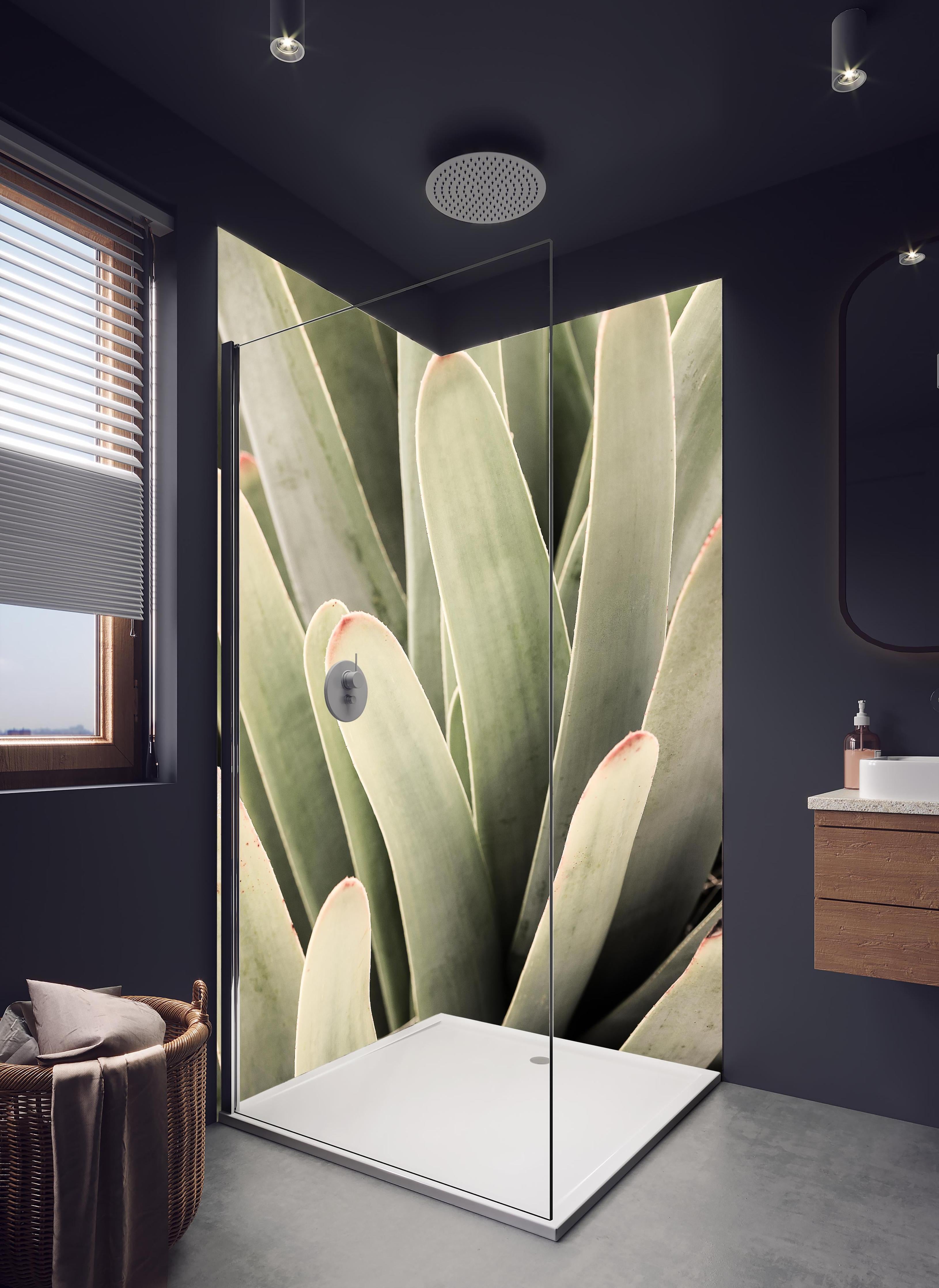 Duschrückwand - Aloe Vera Blätter Detailaufnahme Grüntöne in hellem Badezimmer mit Regenduschkopf - zweiteilige Eck-Duschrückwand