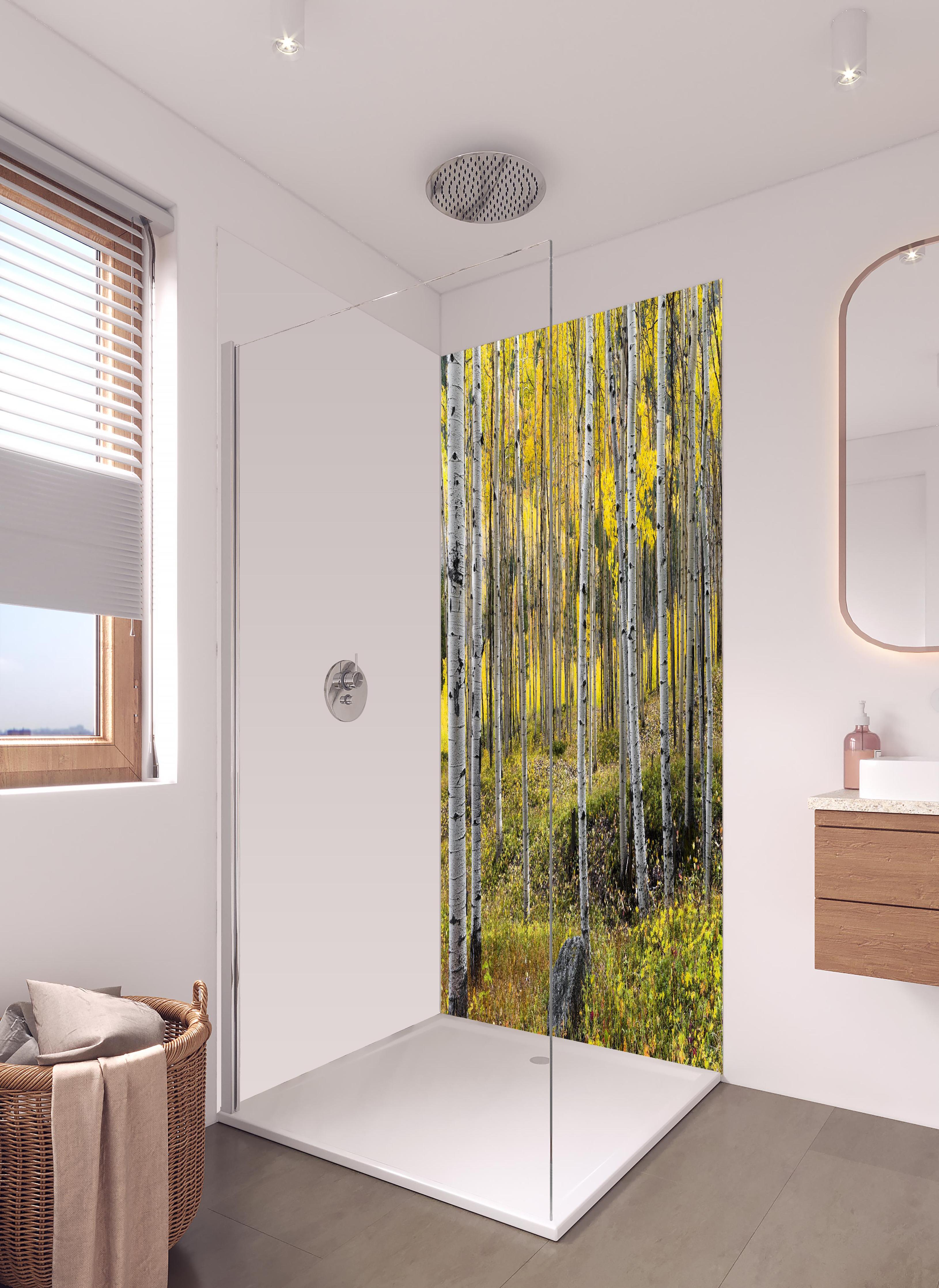 Duschrückwand - Birken im Herbst in hellem Badezimmer mit Regenduschkopf - zweiteilige Eck-Duschrückwand
