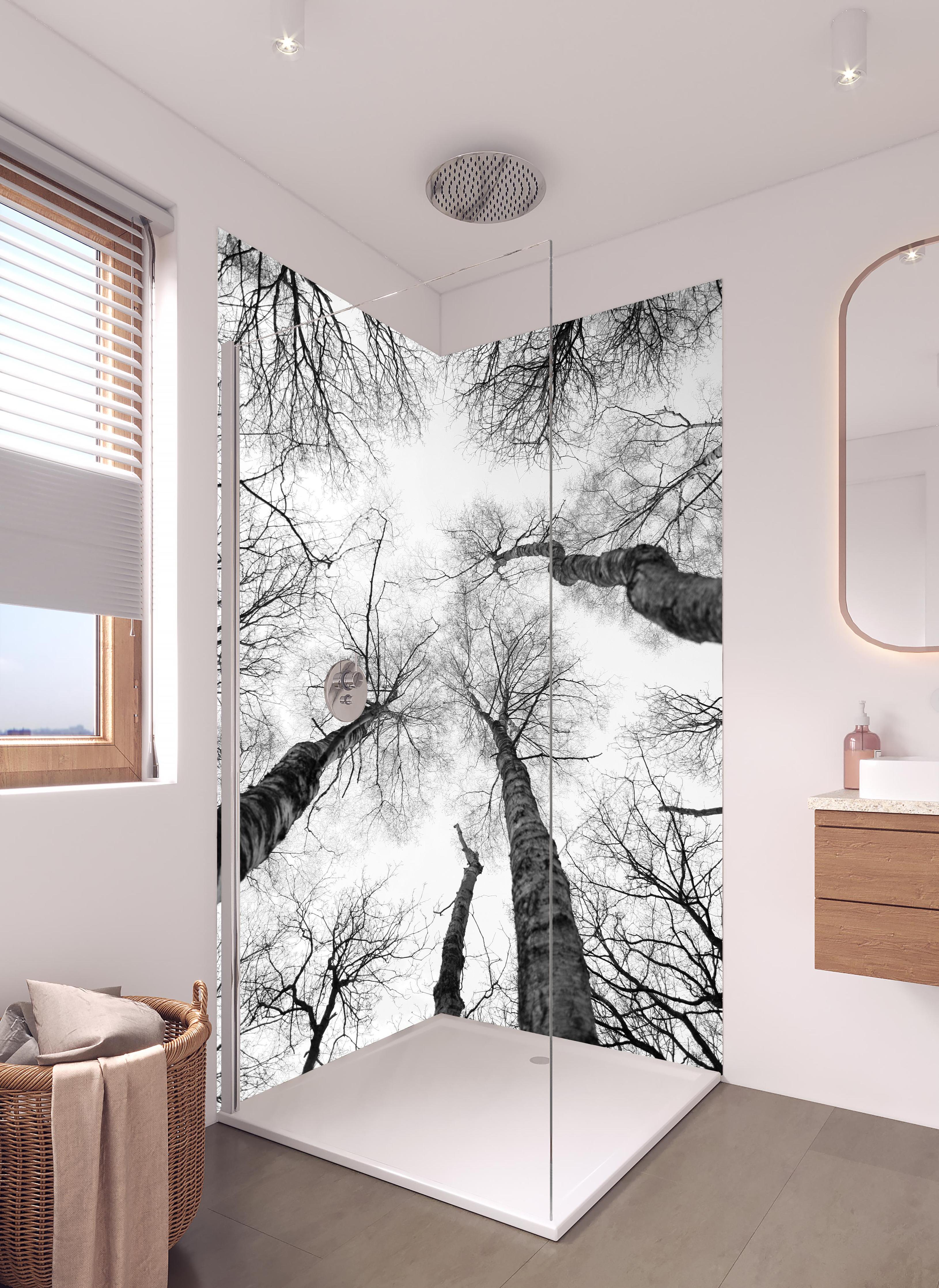 Duschrückwand - Birken im Winter von unten in hellem Badezimmer mit Regenduschkopf - zweiteilige Eck-Duschrückwand