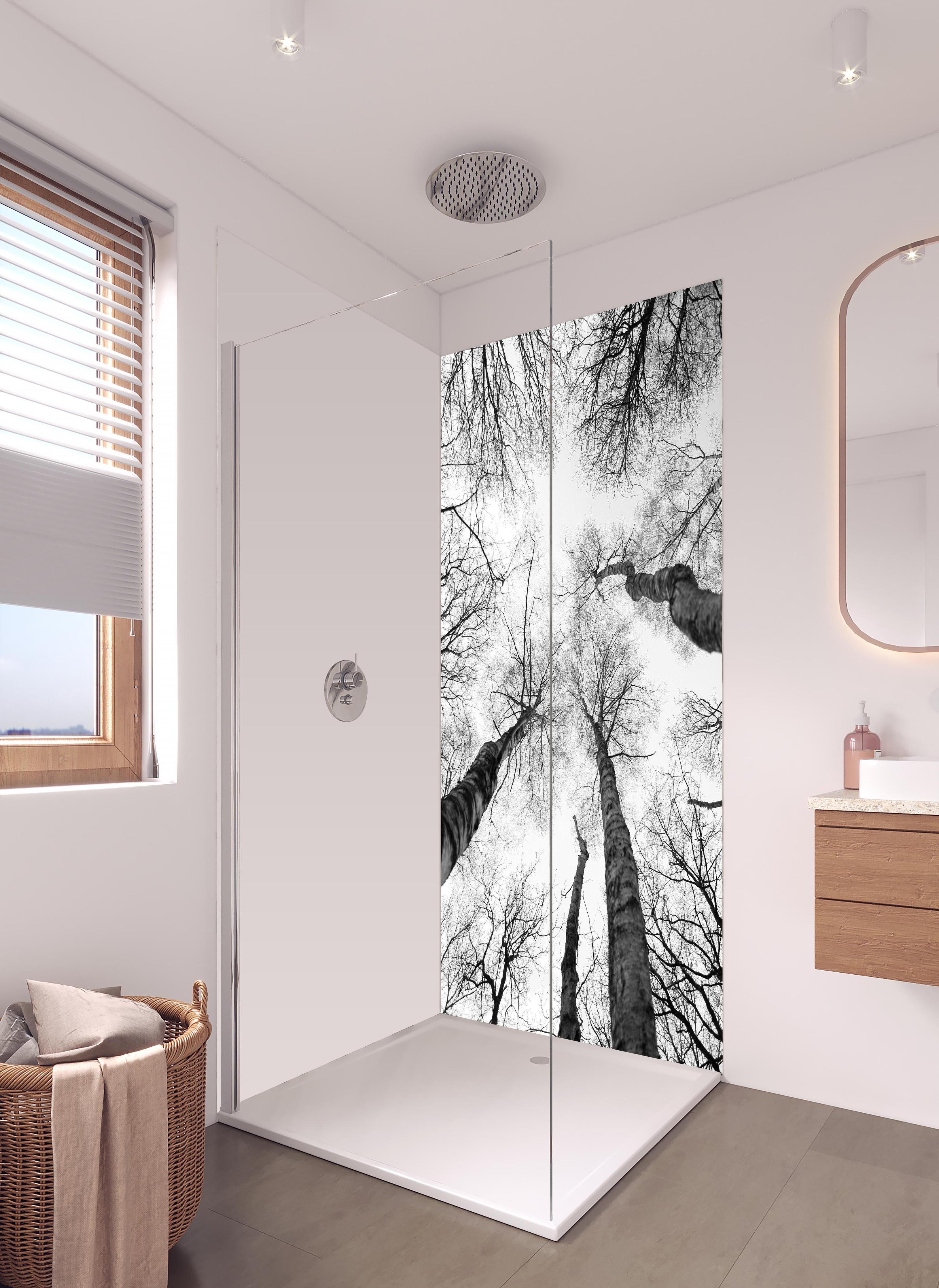 Duschrückwand - Birken im Winter von unten in hellem Badezimmer mit Regenduschkopf - zweiteilige Eck-Duschrückwand