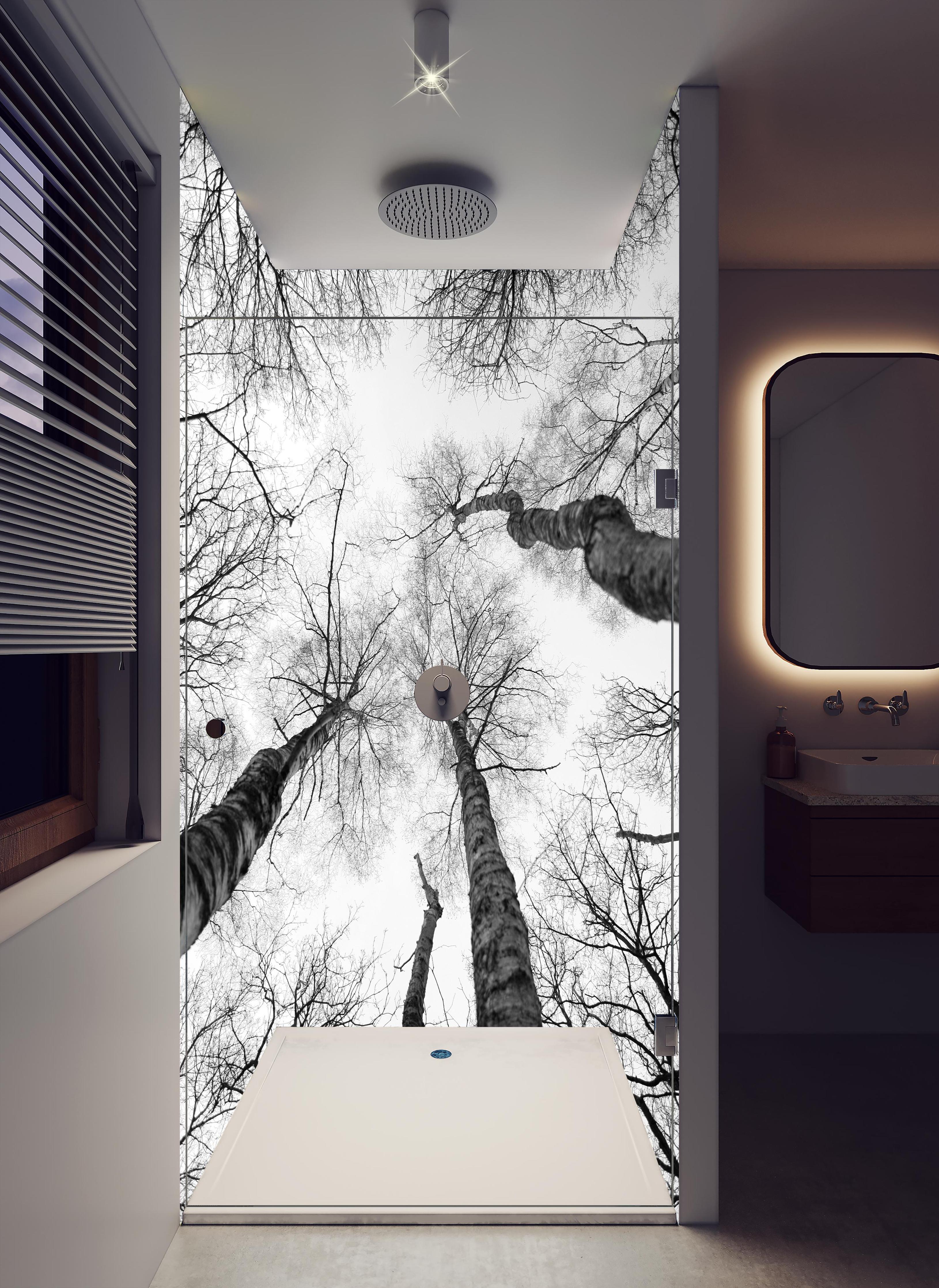 Duschrückwand - Birken im Winter von unten in hellem Badezimmer mit Regenduschkopf - zweiteilige Eck-Duschrückwand