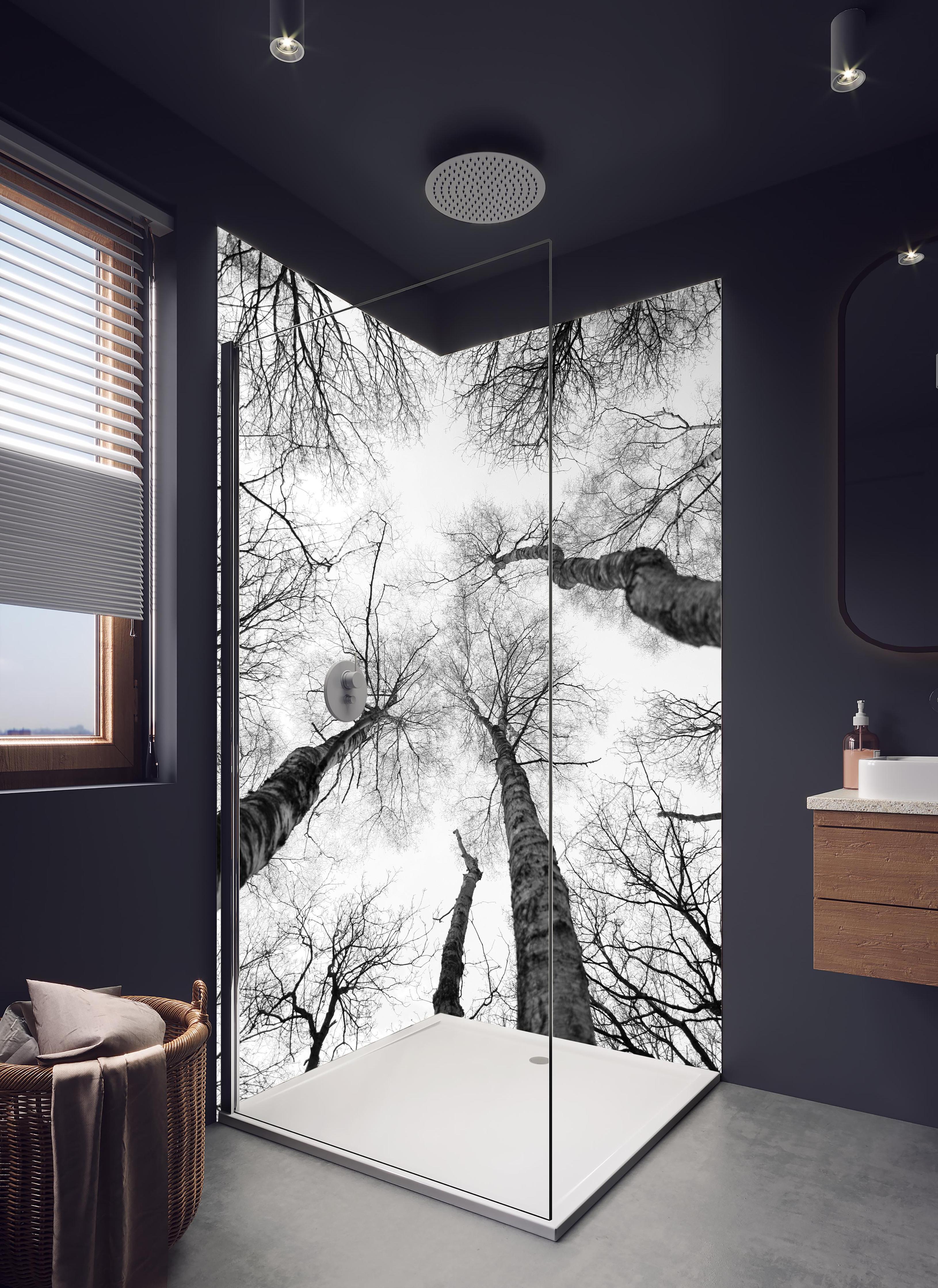 Duschrückwand - Birken im Winter von unten in hellem Badezimmer mit Regenduschkopf - zweiteilige Eck-Duschrückwand
